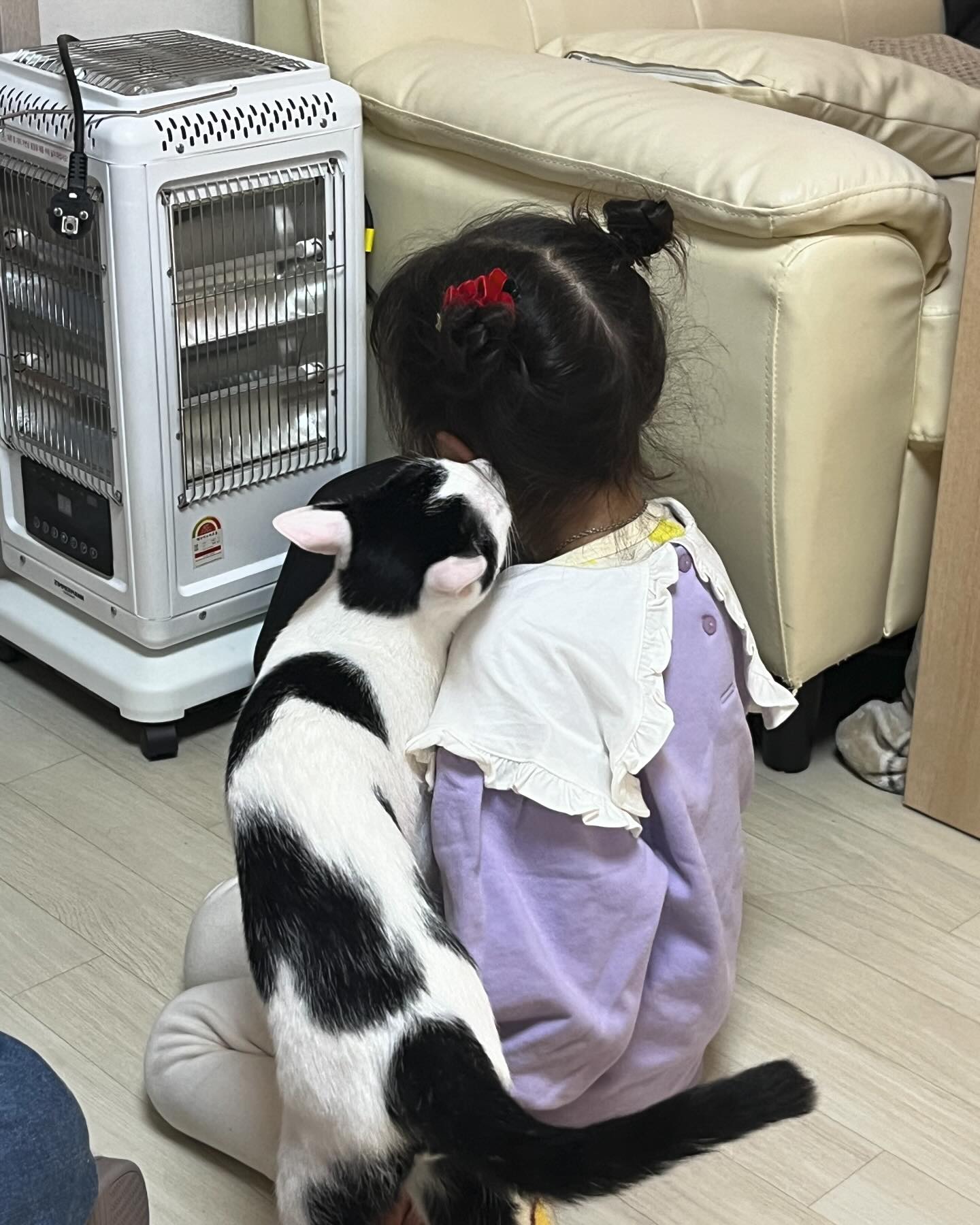 오랜만에 라니 포스팅👀
이모네집 고양이에게 사랑 독차지 당한 라니
평소에도 고양이 사랑이었는데 라니 맘이 전달 됐나봐요 ㅋㅋ

#아기랑고양이 #고양이그램 #육아스타그램 #육아일기 #육아기록 #육아소통 #육아정보