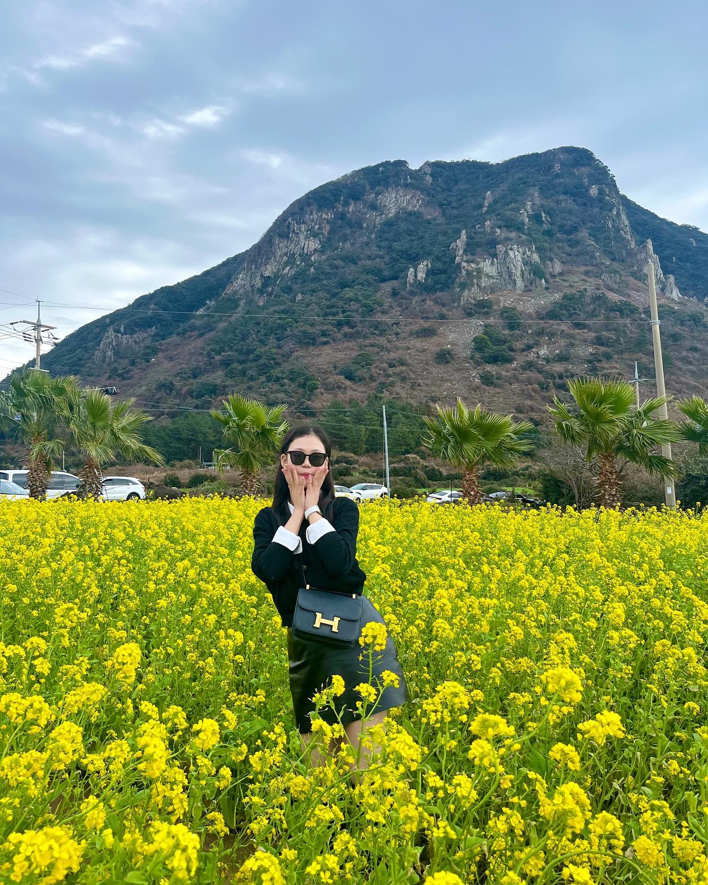 제주도는 벌써 봄이양🌼