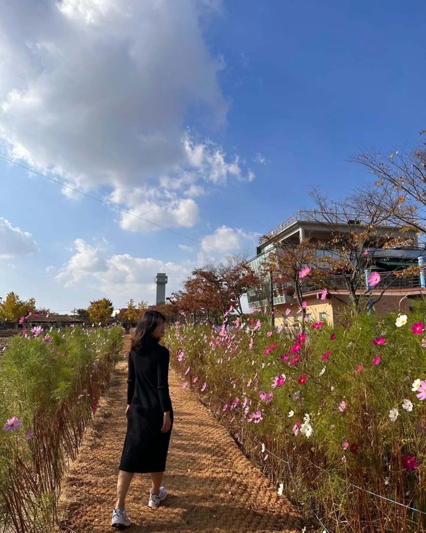 드넓은 지평선을 볼 수 있는 [김제 벽골제]
- 전북 김제시 부량면 신용리
TUE-SUN 9:00-18:00(월요일 휴무/동절기 17:00까지)

축제가 아니어도 다양한 체험놀이와 코스모스가 있어 기분전환하기 좋은 곳!

오늘의 코디 
✔️ 블랙 옷을 입었지만 인친님들은 밝은 옷을 입고가시길 추천드릴께요! 꽃도 많고 하늘과 닿을 것 같은 벽골제에서는 밝은 옷을 입었을 때 더 이쁠 것 같아요♡

■ 2인용 자전거를 타고 벽골제 누비기!
■ HORIZON 그네 타며 인생샷 건지기 ✌️
■ 코스모스 길을 거닐며 꽃놀이 즐기기 💐

#전북여행 #김제여행 #김제 #벽골제 #지평선 #horizon #그네 #꽃놀이 #코스모스 #인생샷 #쌍룡 #2인용자전거 #자전거 #자전거데이트 #데이트코스 #데이트 #여행 #여행추천 #가을 #가을분위기 #날씨좋은날 #기분전환 #축제 #체험 #체험놀이 #데일리룩 #오오티디 #맞팔 #선팔 #인친