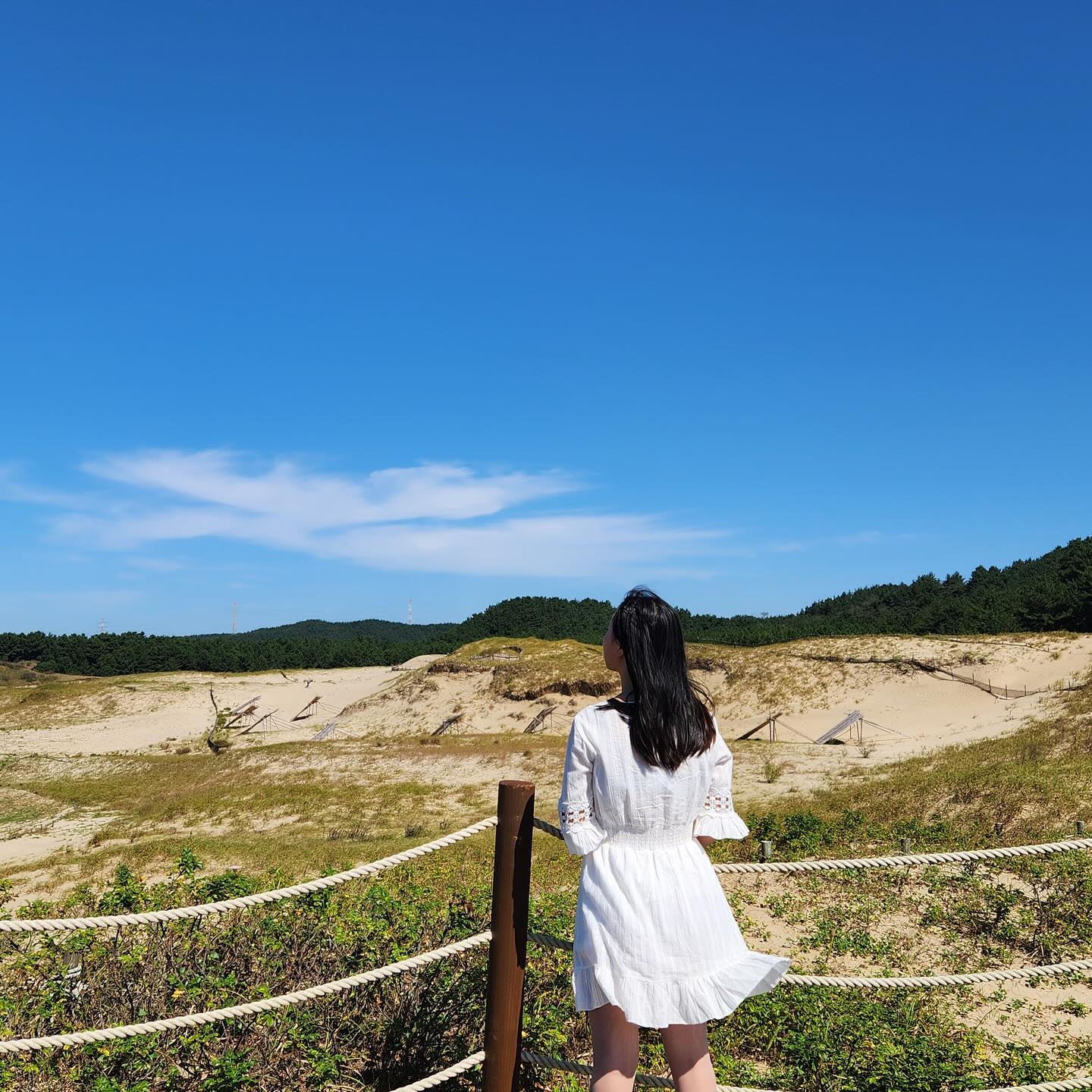 모래언덕 ☀️

#사구 #해안 #해안사구 #모래언덕 #신두리 #신두리해안사구