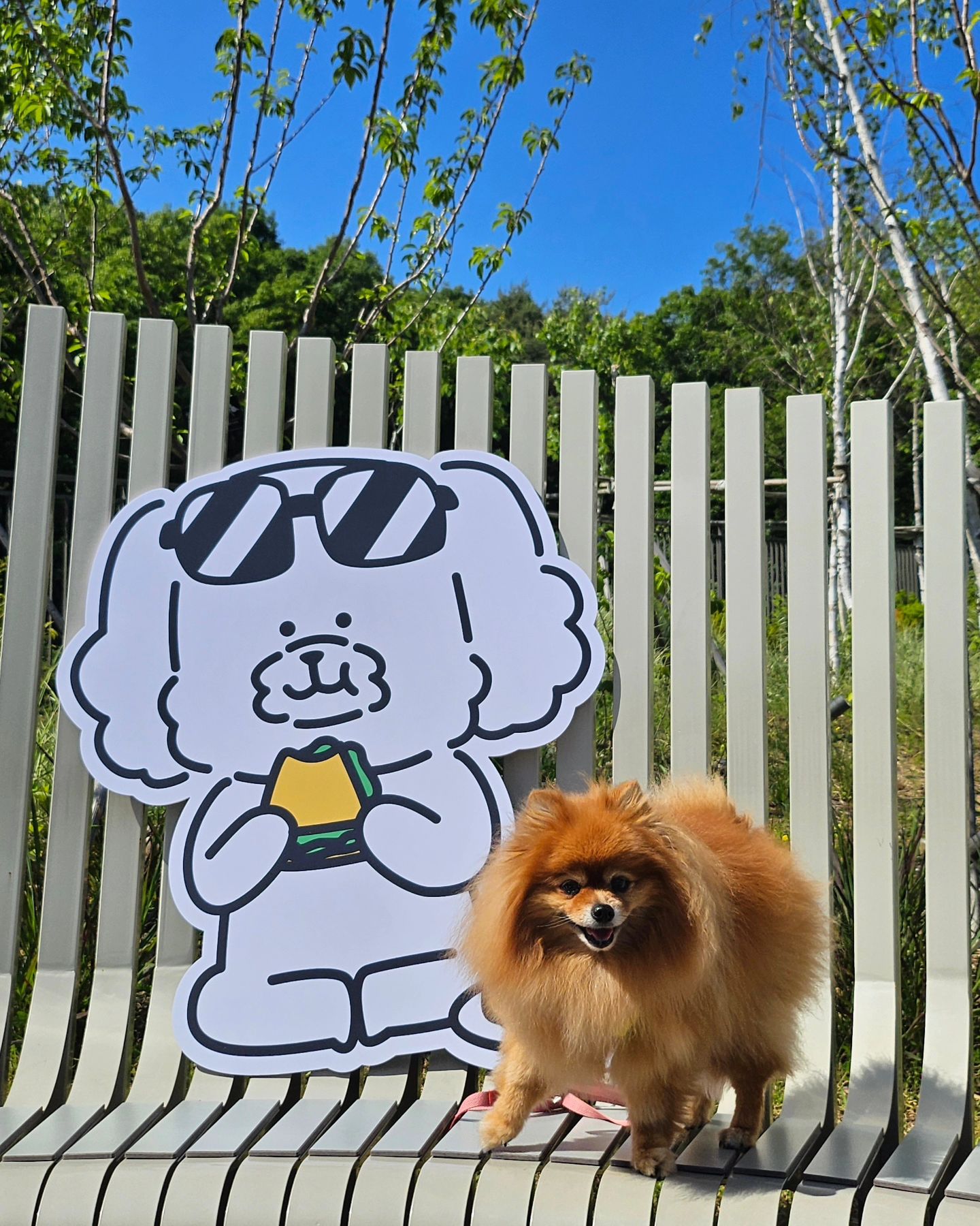 키크니 작가님 그림과 함께하는 귀여미데잇❤️🧡
이쁜 사진 오늘도 찍어찌롱:)!!!!
반려단길 체고야 체고🤍🧡🤍🧡
.
읽다가 눈물 광광 할수 있어효😭😭
모두 손수건 필수라개😂
.
#롯데아울렛#반려단길#키크니
#이치고이치에#일생에한번뿐인인연#멍팔환영
#사랑스러워#조이#멍스타#폼스타그램
#조이#포메라니안#사랑해#개린이#갤럭시플립5
#pet#happy#dog#puppy#puppylove#loveyou#cute#mylove#doglife#instadog#instapomeranian#petsagram#pet