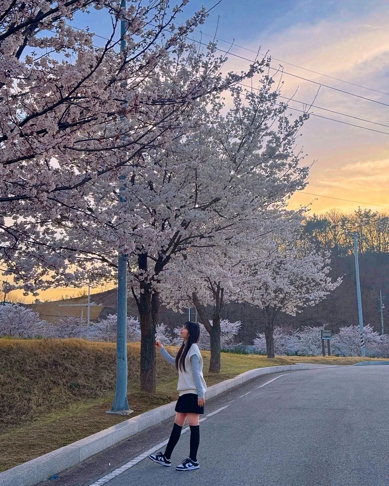 벚꽃 가득한 노을🌸🌸🌸
.
.
.
#벚꽃놀이 #벚꽃 #벚꽃놀이 #벚꽃축제 #구미 #금오산 #금오천벚꽃길 #봄 #봄코디 #봄날 #봄밤 #봄바람 #벚꽃🌸 #벚꽃스타그램 #벚꽃명소 #벚꽃구경 #벚꽃스타그램 #데이트 #더블데이트 #행복  #데이트 #풍경스타그램