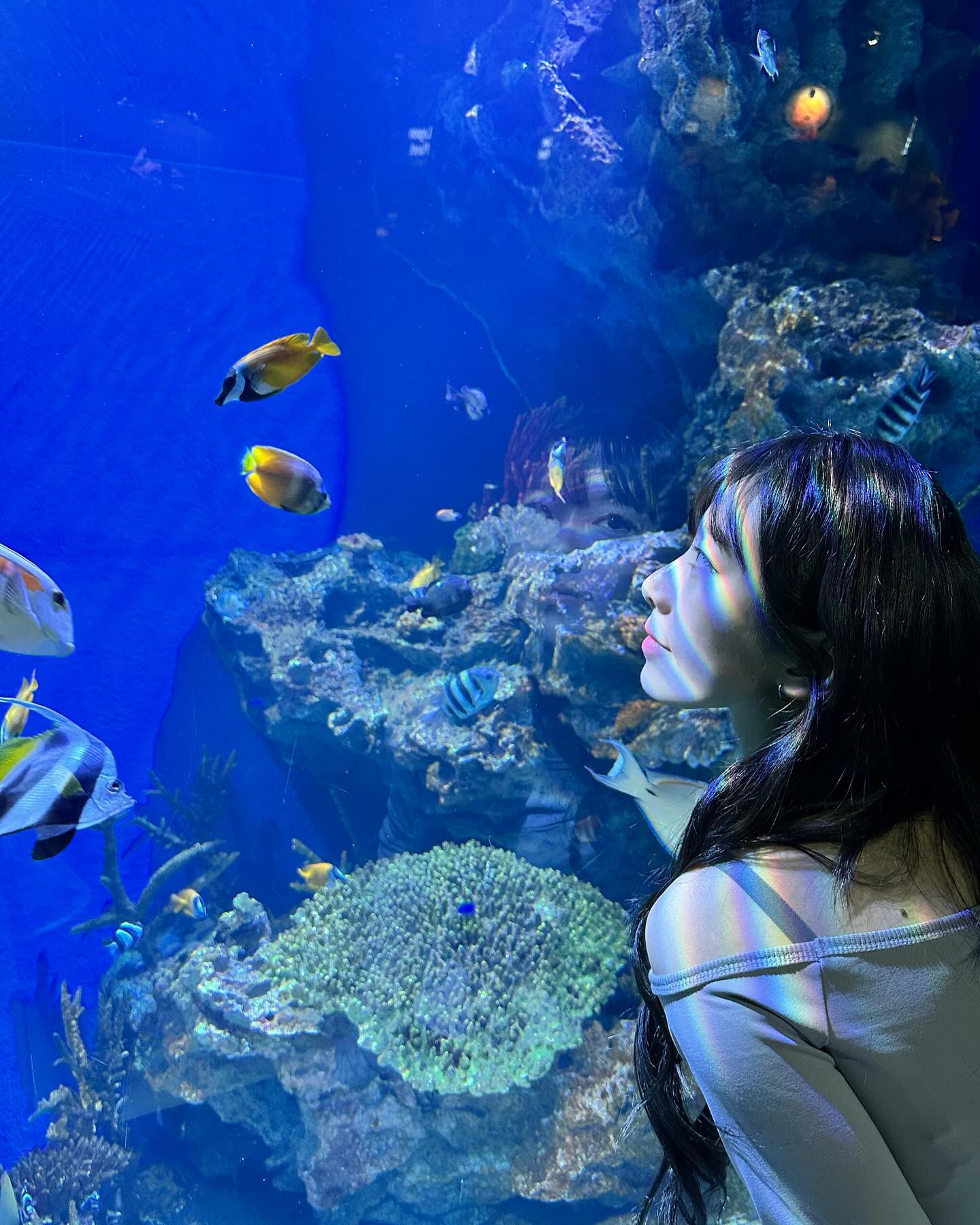 🐠🫧