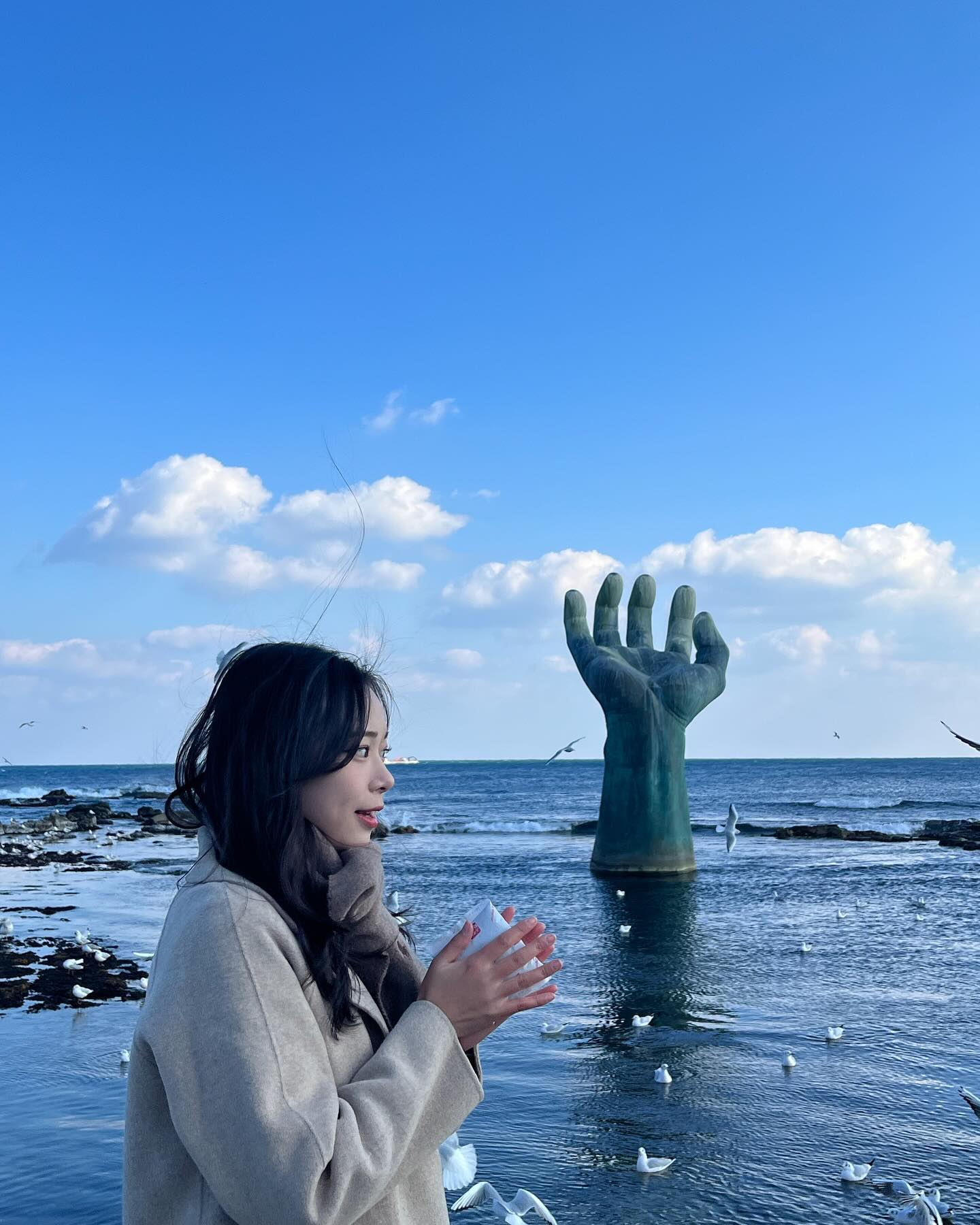 갈매기 세상🌊🌅
