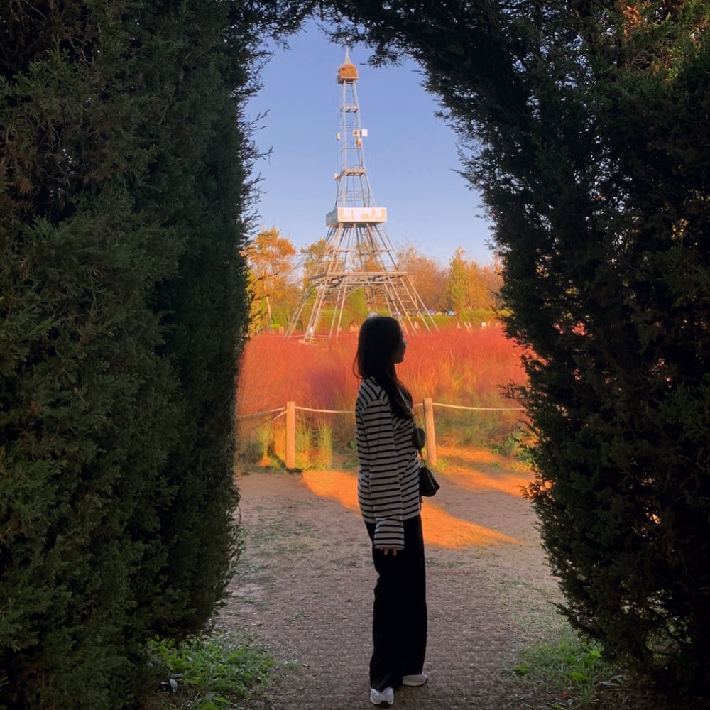 핑크뮬리 포토존 얻어걸림🧚🏻‍♀️ #인천드림파크