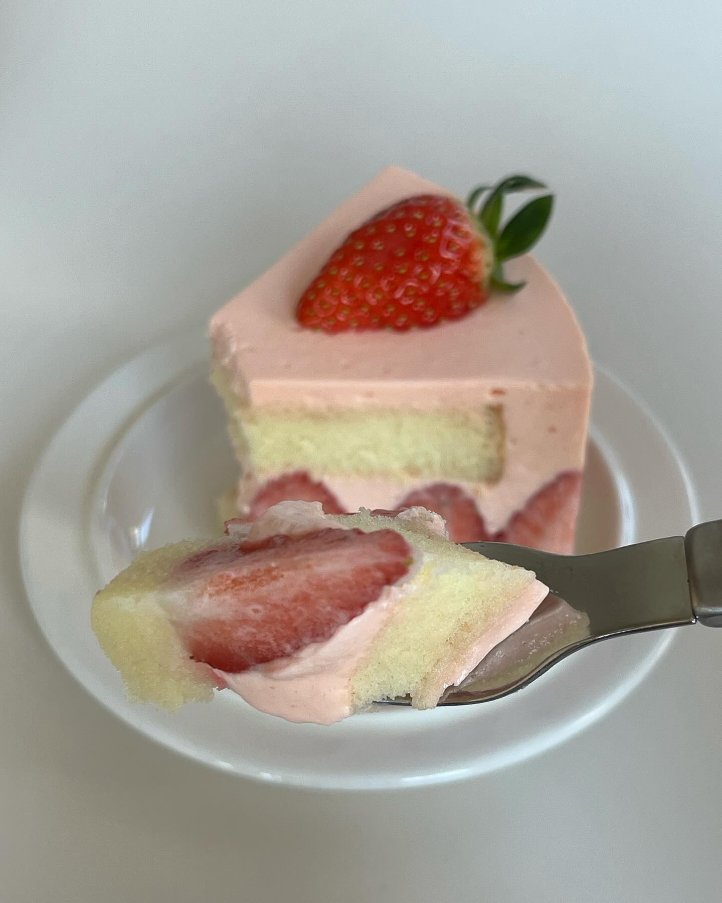 🍓전포카페 :: 페이버커피🍰

#노찌부산
feivor_coffee #페이버커피

겨울에 꼭 방문해야하는 
부산 전포카페 페이버커피! 

커피가 맛있는건 물론이고 시즌디저트 맛집이라는 점🍓
이번 딸기케이크는 앙글레즈 크림이라 다른곳이랑 차별점이 있어서 좋았고, 요즘 딸기가 맛이 없는데 사용된 딸기도 너무 맛있어서 케익과 같이 먹을때 더 맛있었다✨

맛있는 커피와 딸기케이크가 있던곳🍓🍓🍓