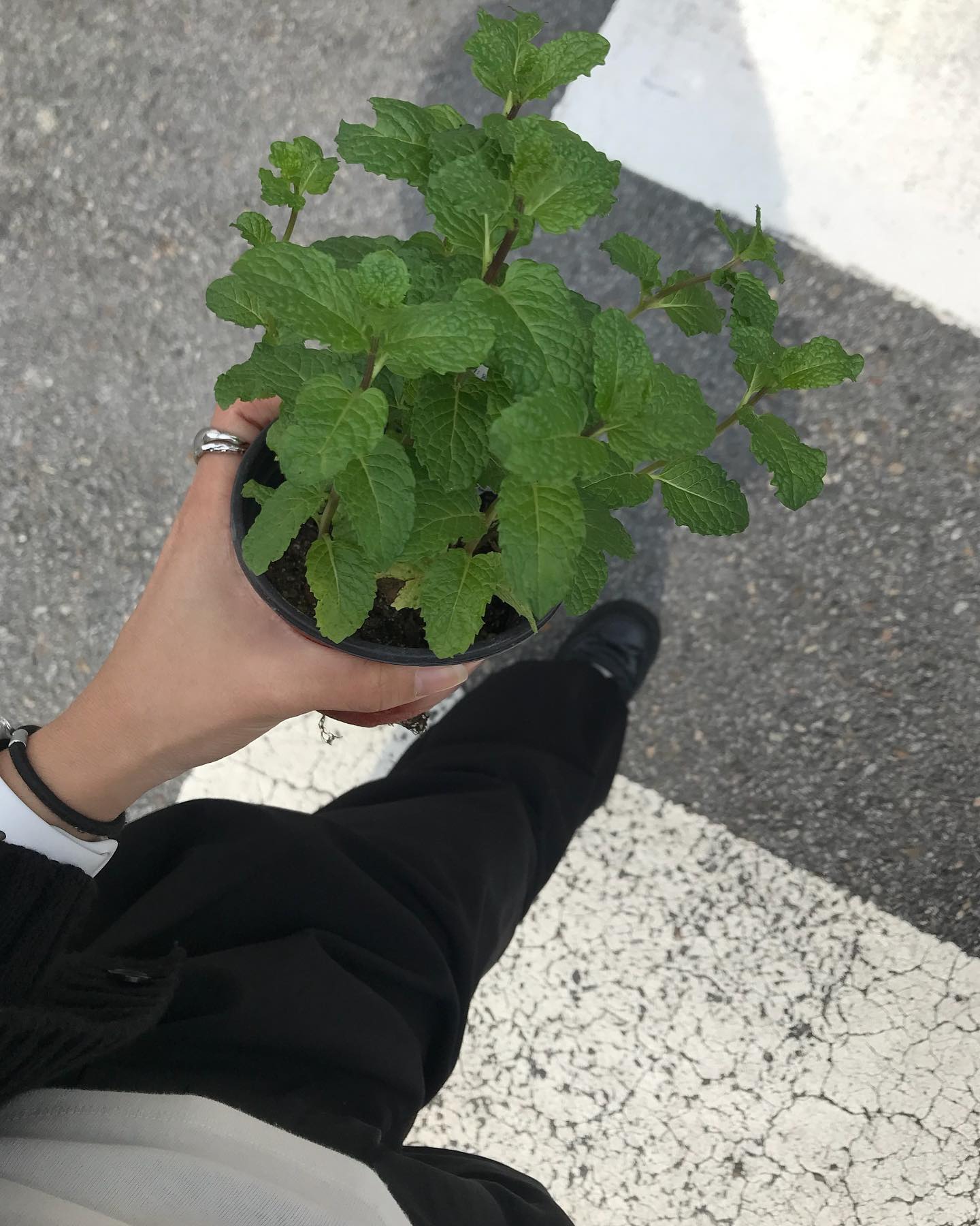 콘텐츠