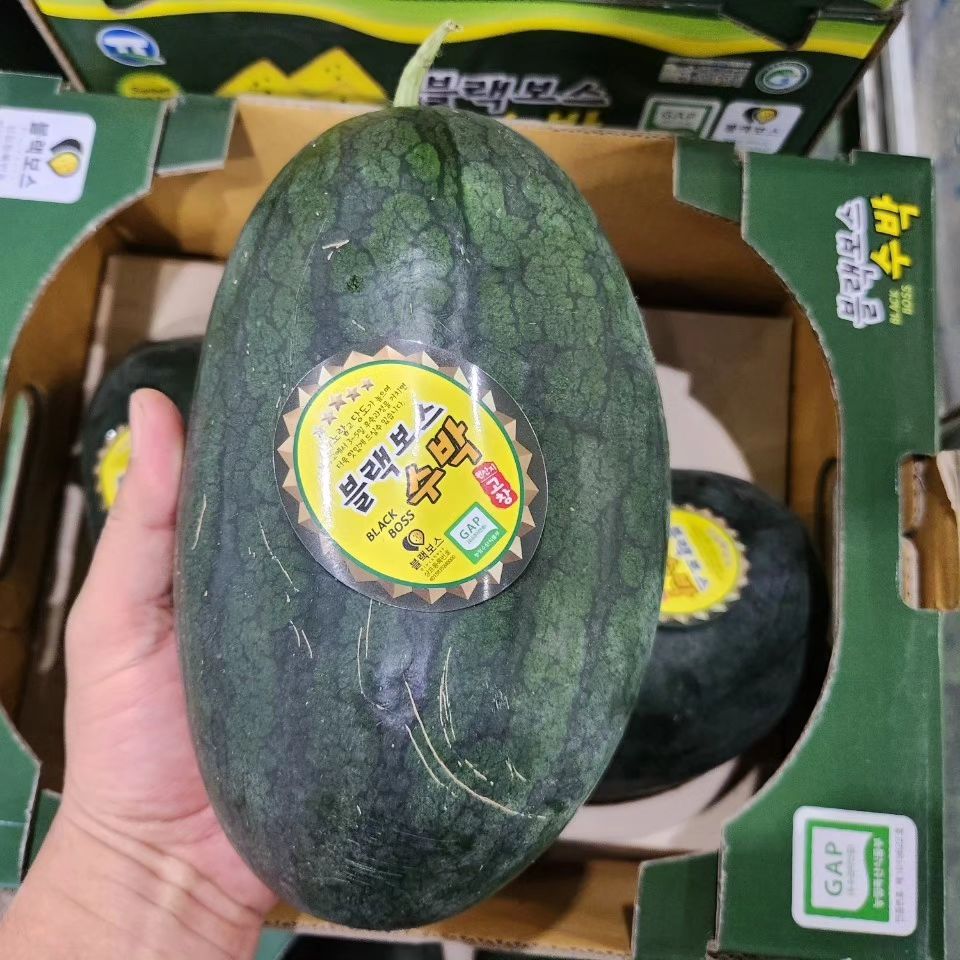 인기 너무좋은 망고수박 12브릭스🍉

​망고수박 인기가 아주좋아서 많이 나가는 

인기최고인 망고수박👍👍

​엄청난 인기인 블랙망고수박✔맛있는데요👍

고창 블랙보스 망고수박

유명한 고창 망고수박

3통한박스ㅡ총합5-6키로 내외

가격좋고 식감좋고 맛있는데요

한번드셔보셔도 좋을 망고 수박이네요

​껍질이 좀 안이쁜것들도 있을수있어요.우체국택배

​3통ㅡ5-6kg내외
3통ㅡ5-6키로내외
35,500원 무료배송

주문은 프로필 아래 링크에서 해주세용~♡

010 5287 4688 문자 주문 주세용~