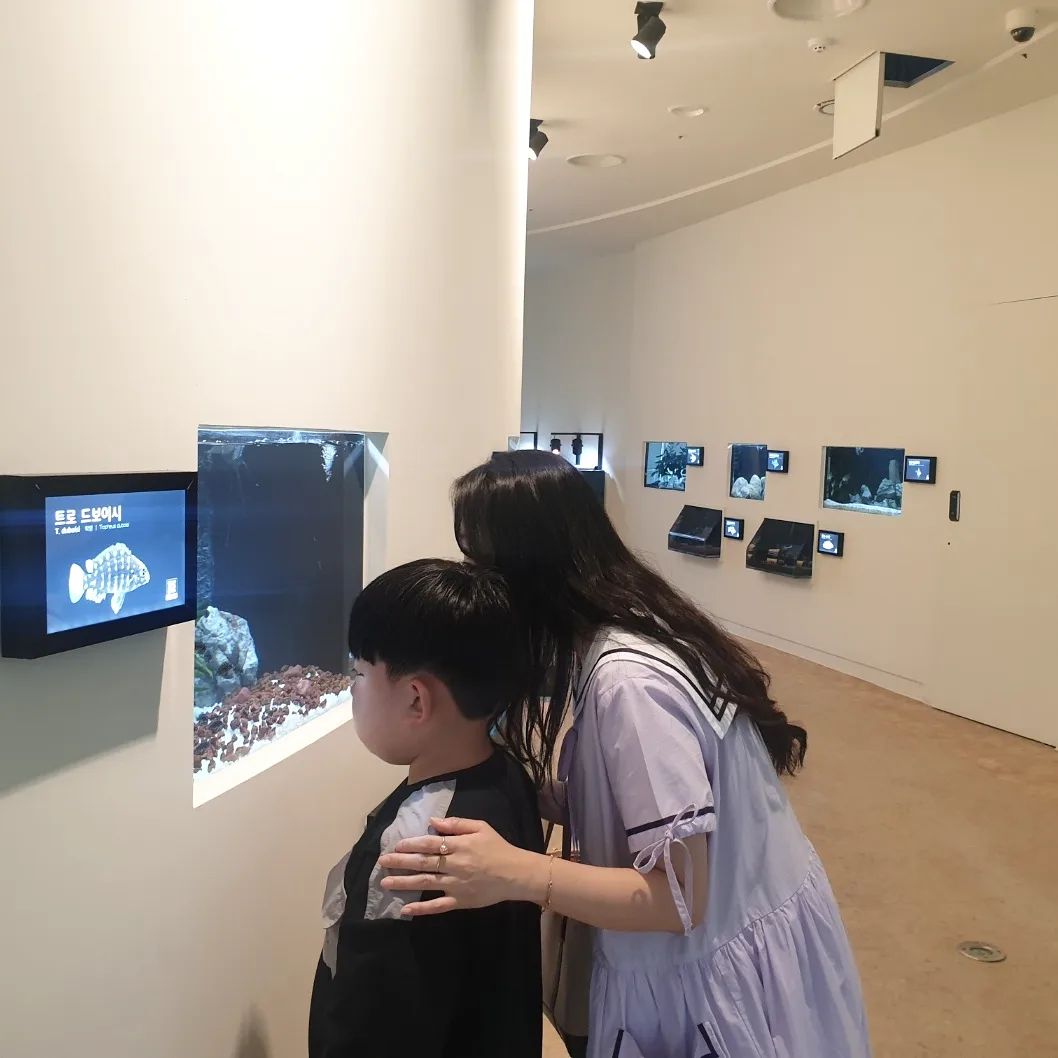 💛 
동물 정말 좋아하는 엄마와
어릴적부터 곤충, 물고기, 동물 좋아하던 아들

길 가며 곤충들과 새, 동네 개들까지 관찰하며
공원, 동물원, 생태원 가면 얘기가 참 많아지는 우리
역시 내 아들 맞구나!!

그런데 박물관은 참 싫어하던데, 
이건 아빠 닮은 거지? 
대신 아빠에겐 운동 유전자를 그대로 물려받았지
야구, 축구 잘하는 역시 아빠 아들!!
.
.
#짧은휴가중 #주말에또놀러가자