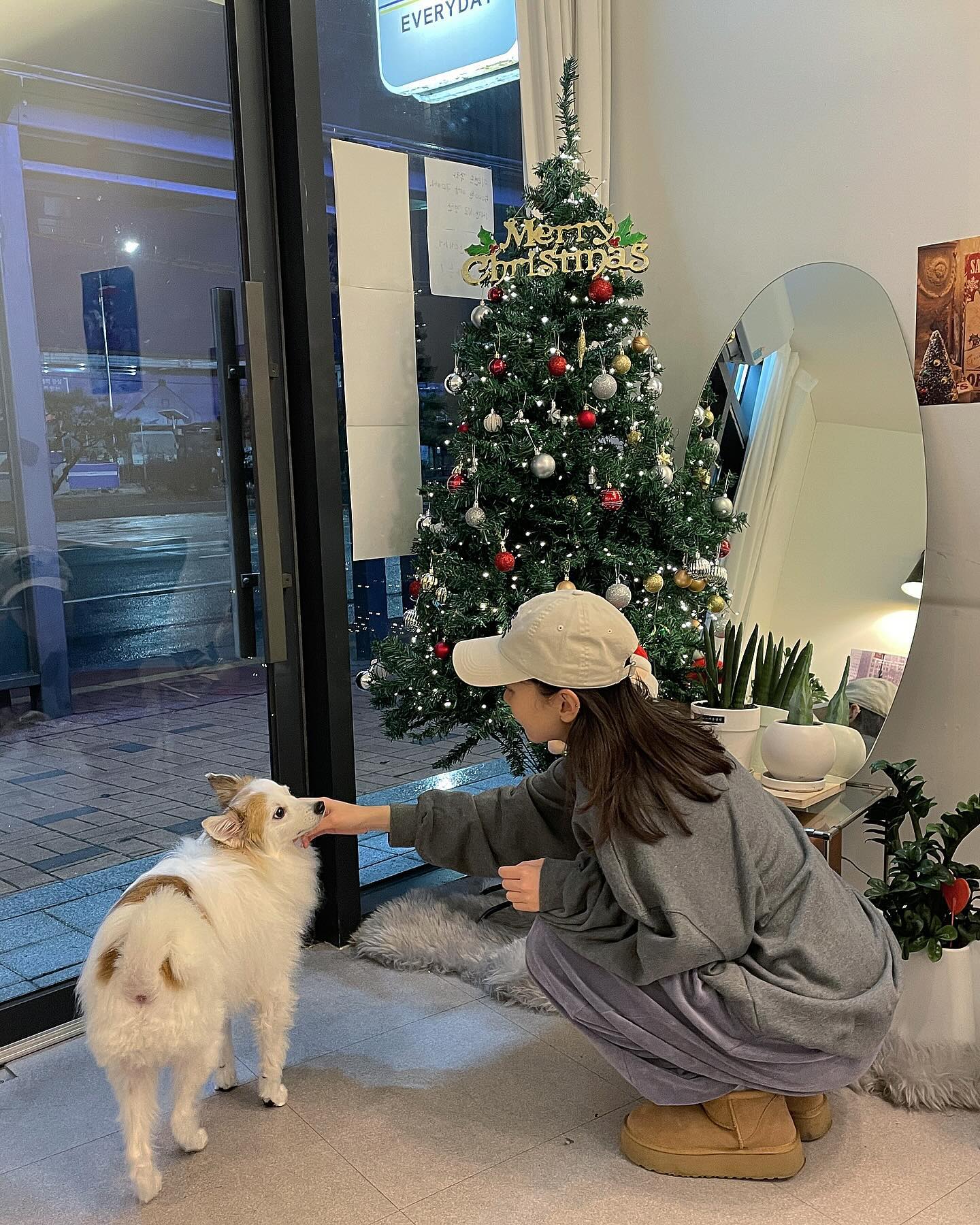 그녀석의 7번째 크리스마스❄️🎄☃️🩵🩷