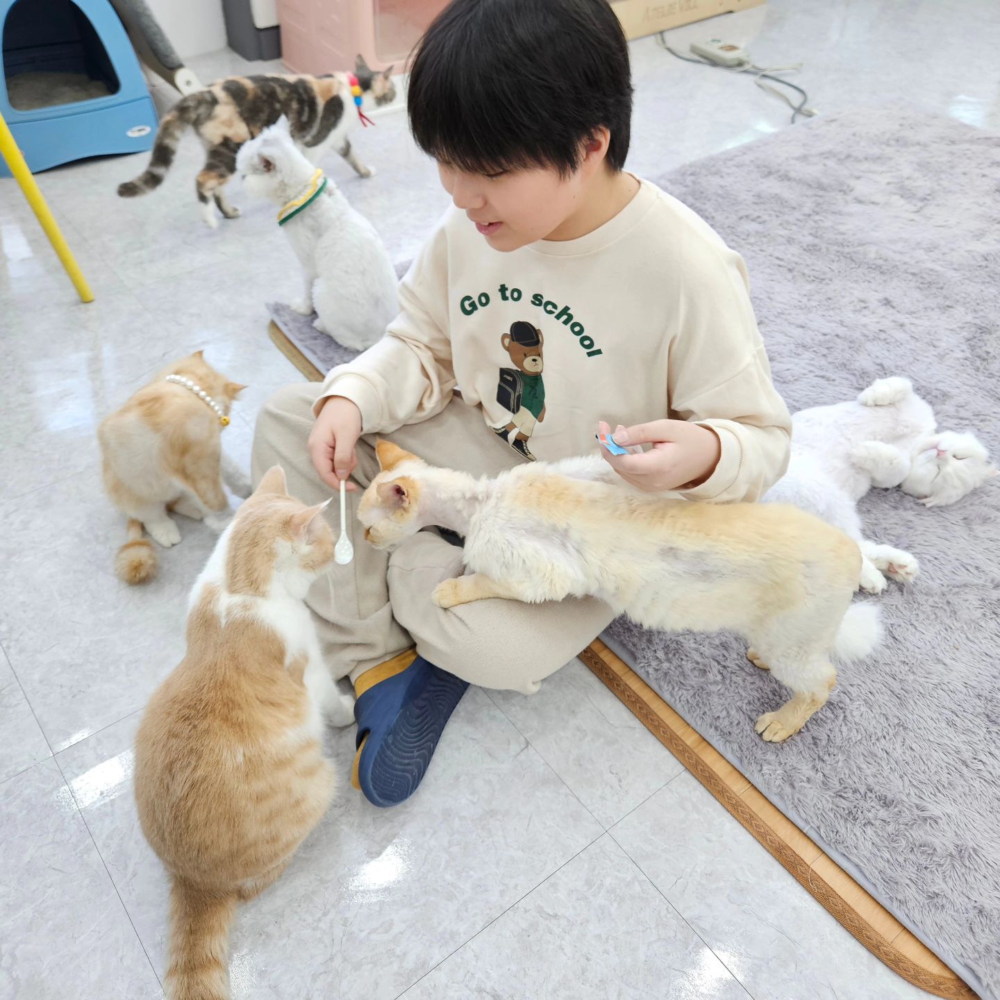 고양이 귀여워🫶
딸래미땜에 경주 출동ㅋㅋ
너무 귀여워~예쁘고 착함ㅋㅋ
츄르면 고양이왕이됨ㅋㅋㅋㅋ
아빠랑 큰오빠는 재채기하고 
진상 난리ㅋㅋㅋ
담엔 셋만 와야겠다ㅋㅋㅋ!!

#경주고양이카페 #고양이카페 #캣카페 #야옹아놀자
#경주야옹아놀자 #경주캣카페 #야옹아놀자캣카페
#야옹이 #고양이 #고양이예뻐 #너무귀여워