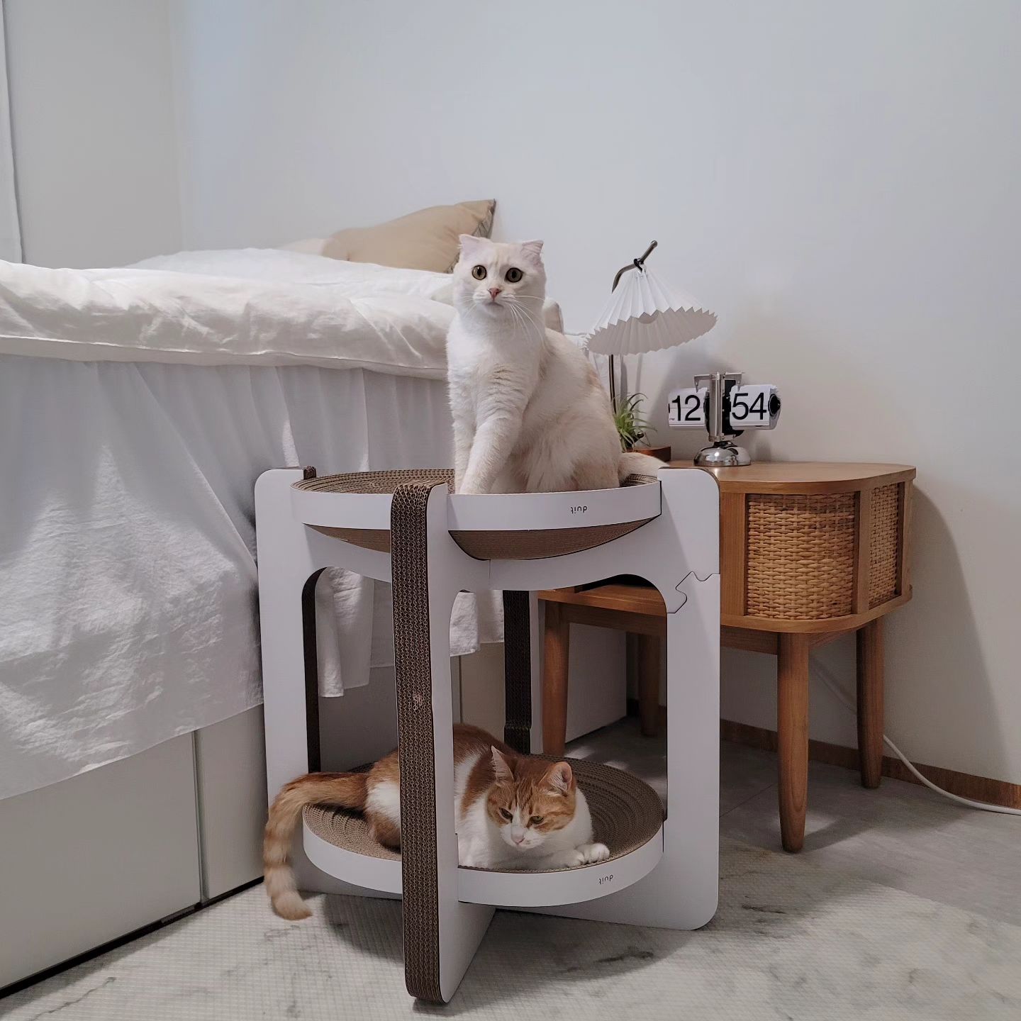 초여름 맞이 오순이네 일상☘️
🐱오순이는 요즘 배까고 누워 있는 날이 많아졌어요 
하루종일 오순이 따라다니는 개송송🐭때문에
늘 긴장하고 있는게 맴아팠는데
티라미수 보드덕에 나름 사이좋게 거리두기 하며  요즘은 배까고 뒹굴거리는 모습도 자주 보여주네요💕

🎉 ​1년에 단 한 번!  두잇데이가 돌아왔어요 (5월9일~5월 13일)
두잇 ​공식몰에서​ 25만원 상당 쿠폰팩은 물론, 
전 품목 최대 73%할인까지​! 
👫 또, 친구를 초대하면, 추첨을 통해 현금 300만원을 쏜대요!

🏷​duit_korea에서 확인 해보세요 

#duit #두잇 #두잇데이 #duitday #티라미수보드#고양이스크래쳐#고양이캣타워#미니캣타워#스크래쳐