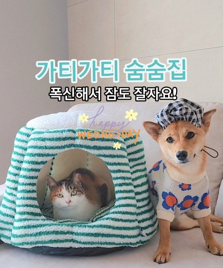 가티가티 쿠션도 되는 고양이 숨숨집 추천!