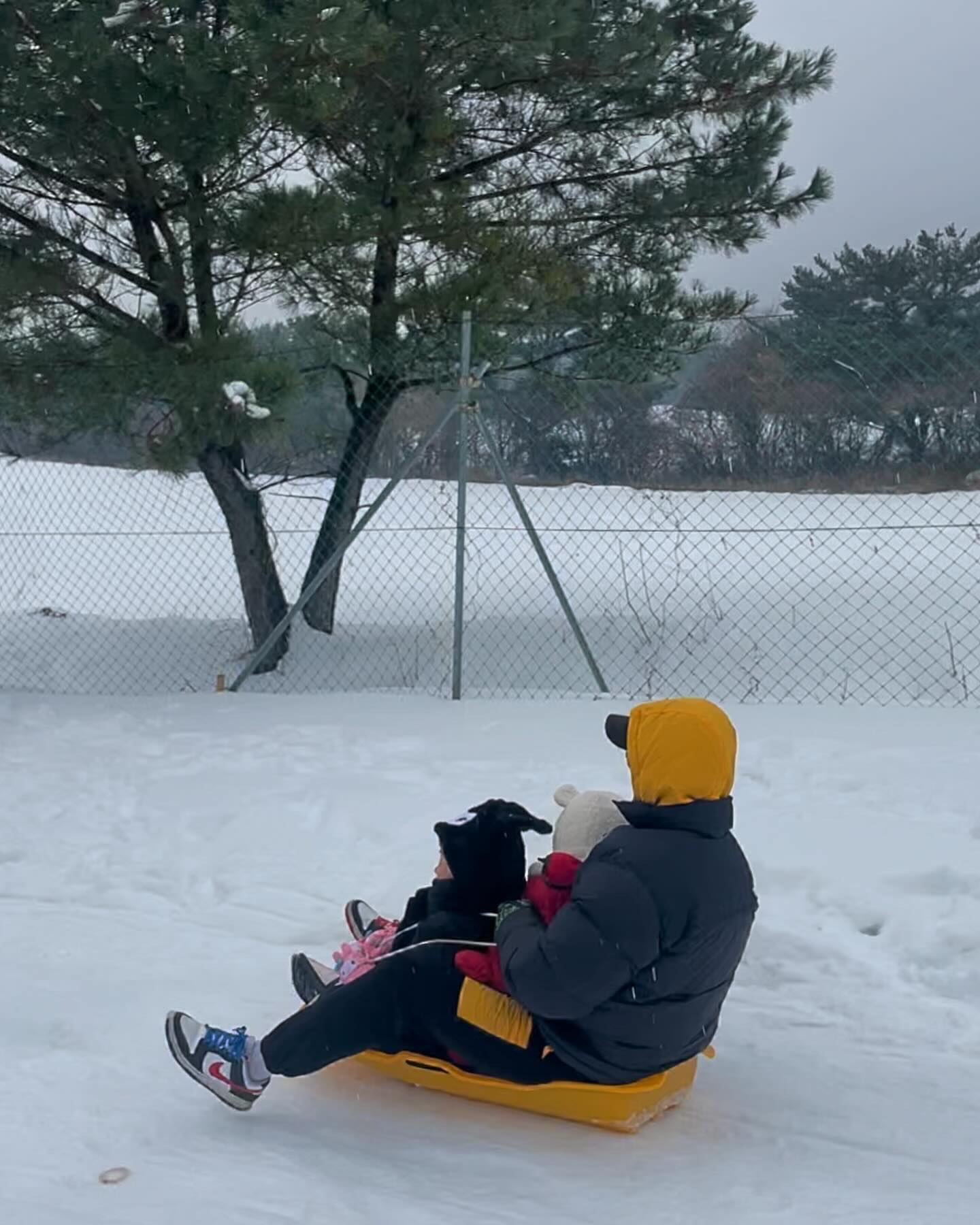 썰매도 타고 눈도 실컷 만져보고 🤍🤍🤍