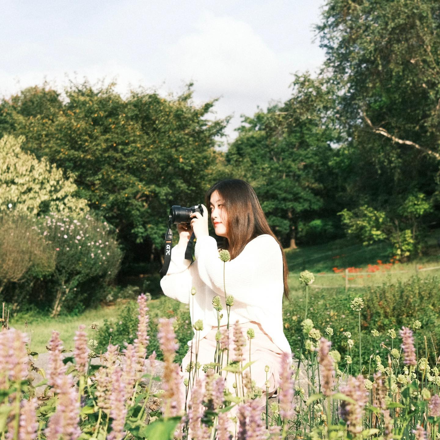 🌳💗🌳