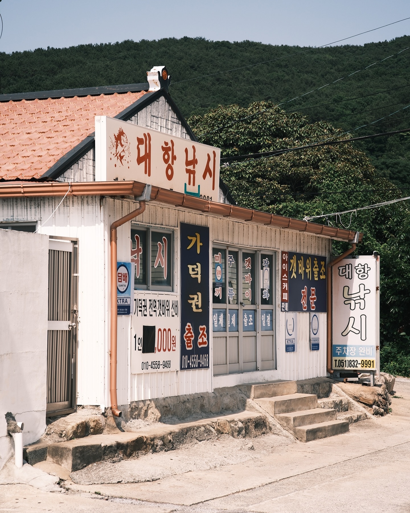 콘텐츠