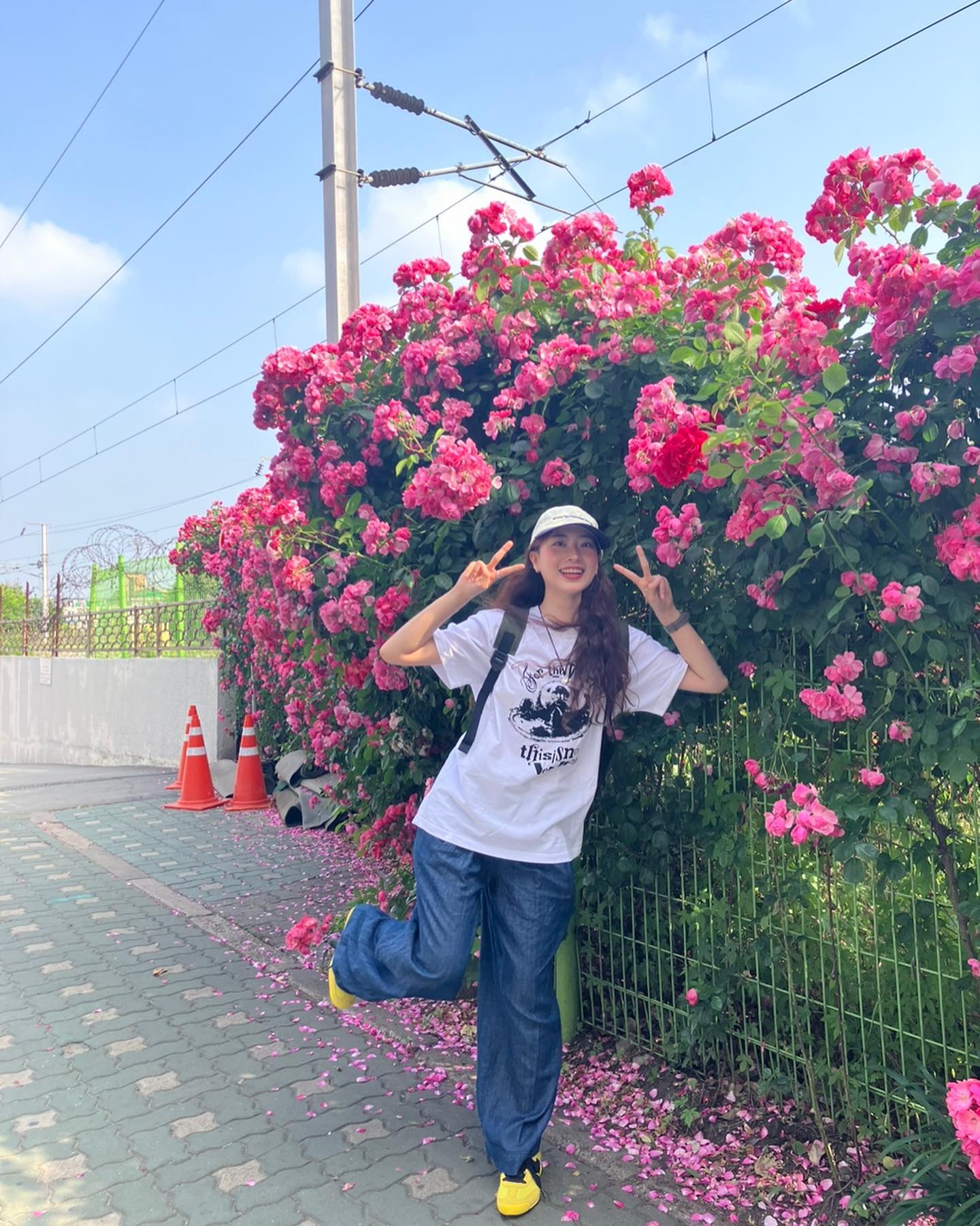 🌷🌹🍀
