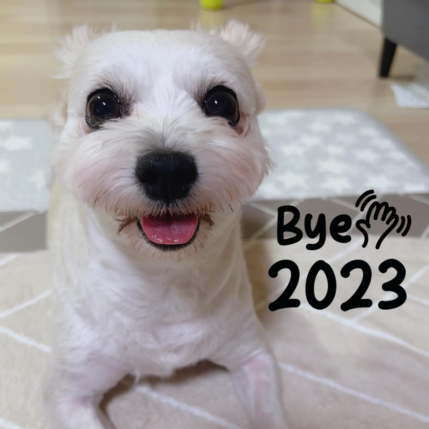 ⠀
⠀
⠀
잘가 2023 !!
이제 2024 사진으로 채워가야지 !!
⠀
⠀
⠀
⠀
⠀
#사진정리 #2023사진끝 #2024년시작
⠀
⠀
#instadaily #daily #follow4follow #f4f #likeforlikes #instaphoto #selfie #love #iphone15 #아이폰15핑크 #럽스타그램 #가족스타그램 #육아맘 #초등맘 #딸스타그램 #일상 #반려인 #맞좋 #맞팔 #좋테환영 #소통