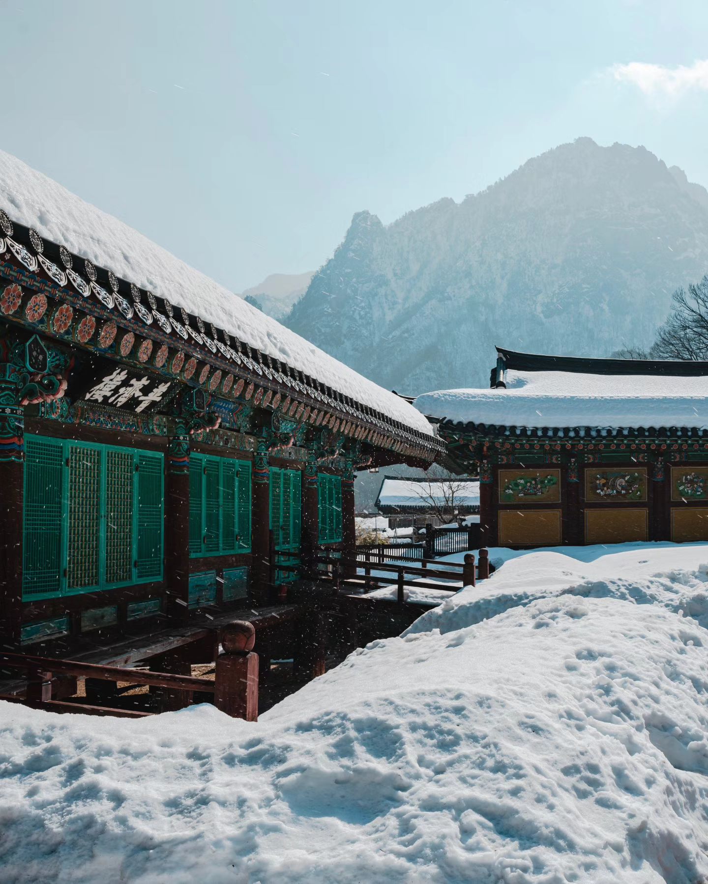 #헤드위그의여행소식지 sokchocity

겨울 막바지에 사람만큼 쌓여 있는 눈을 볼 수 있는 #국내여행지
속초 설악산 신흥사를 소개합니다.
.
2월 13일 기준으로 신흥사 기와위에 눈이 소복하게 쌓여 있는 풍경을 보고 왔어요
2023년부터 사찰 문화재 관람료가 무료가 되었다는 사실 알고 계시나요?
.
설악산 권금성 설경이 이렇게 아름다운 줄 알았다면
진즉에 찾아갈 걸 그랬네요
.
훈풍이 불어오는 계절이 다가오는 것 같았는데 
사람 키 만큼 쌓여 있는 겨울 풍경을 제대로 볼 수 있었네요
다음날 서울로 돌아오는 길에 대설특보가 내려졌었으니 아직 늦지 않았다구요!

2월 13일 설악산 풍경
📍강원 속초시 설악산로 1137 신흥사
🚗주차요금 6000원