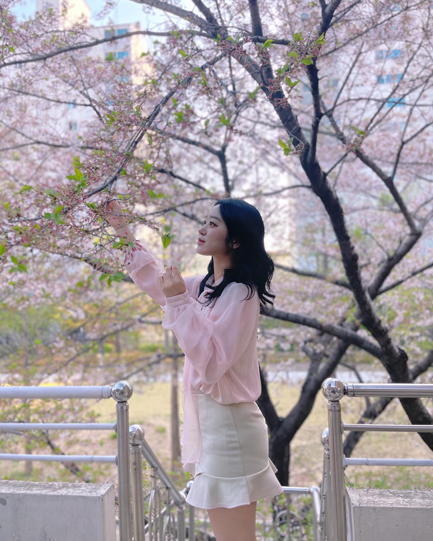 나도 다 떨어질랑 말랑하는 벚꽃 봤다
이제 봤으니까 다 떨어져라 10R🌸