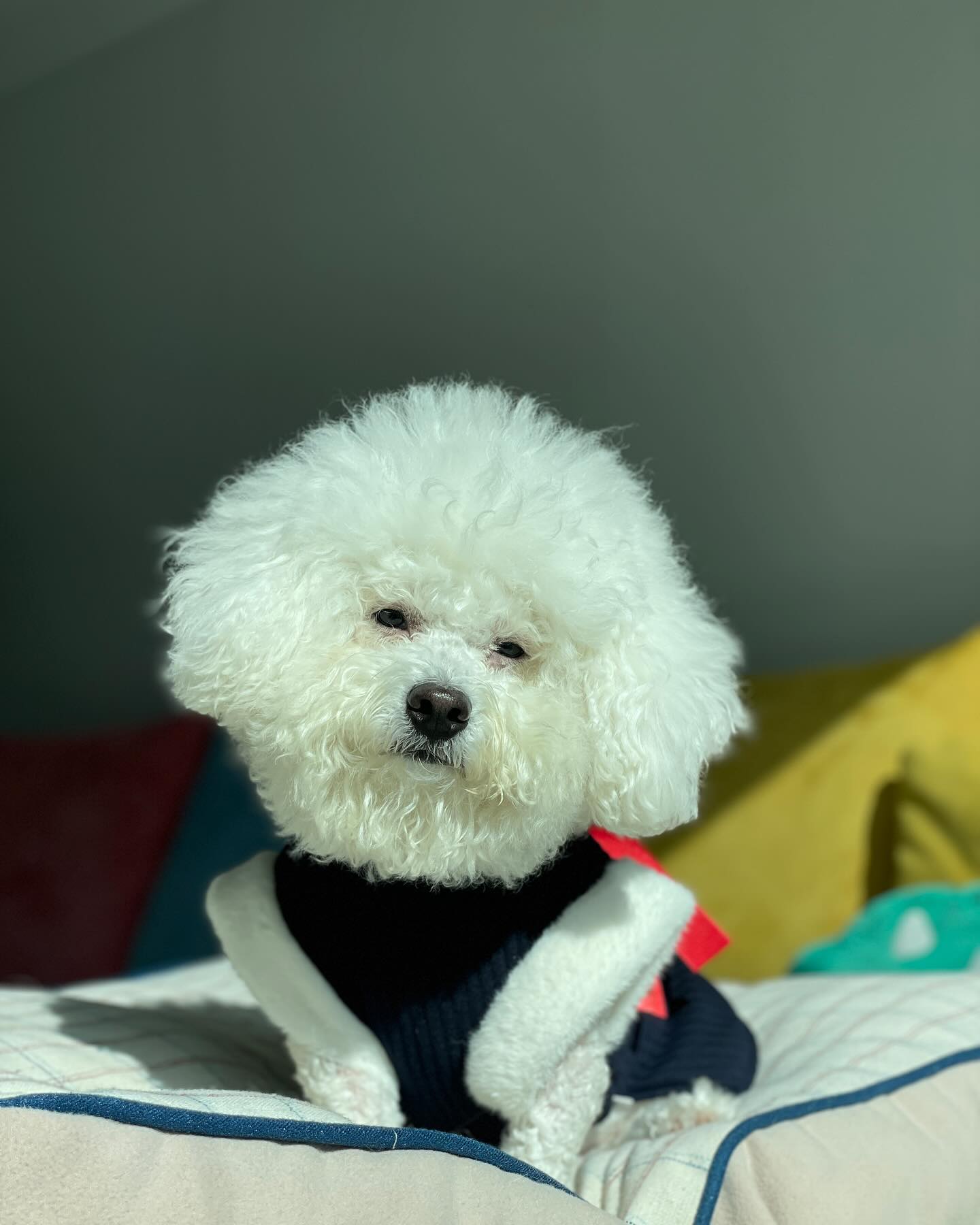 이번에 용돈 마니받으면 쌍카풀하고 시펏는데
내 잔고 0원
