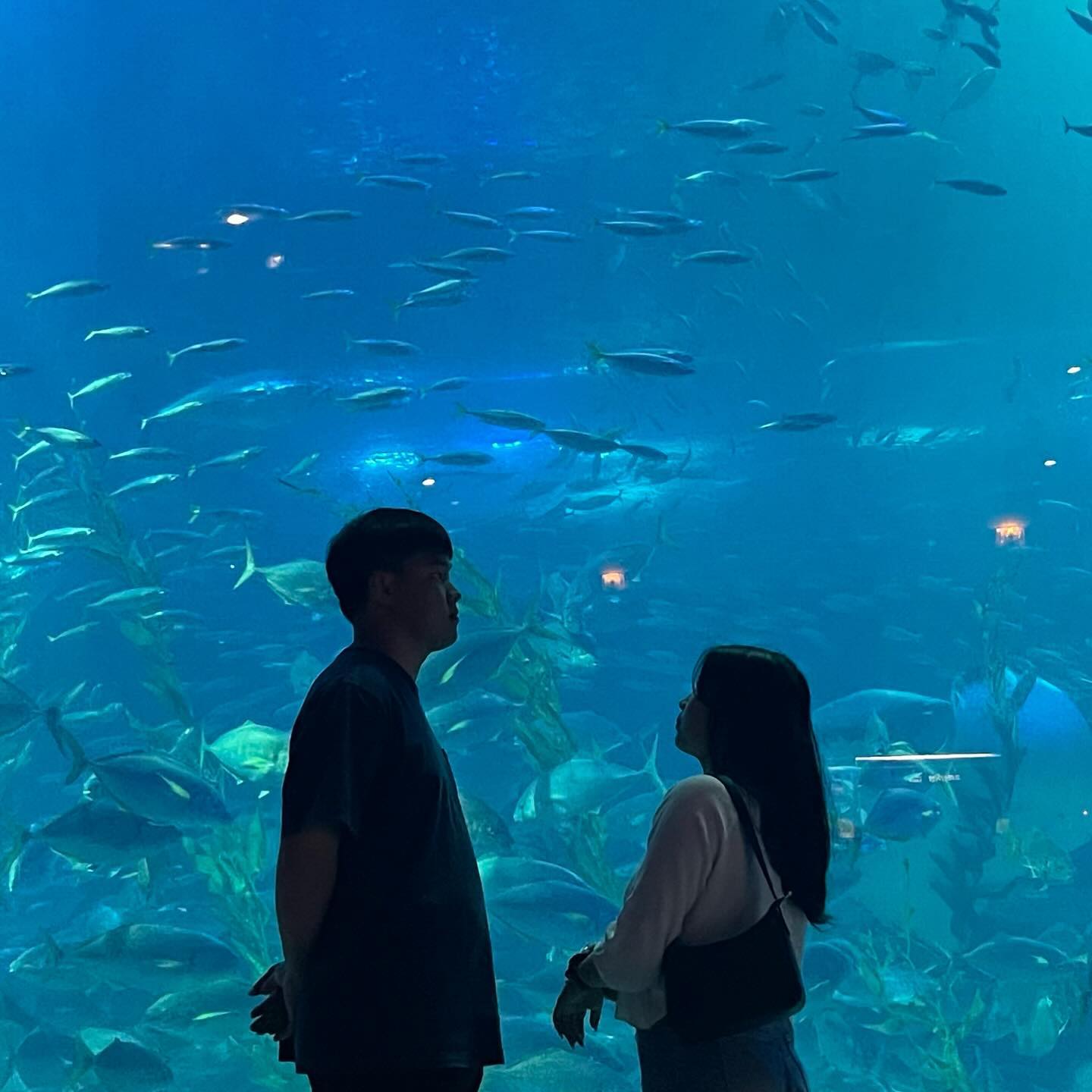 해마❤️강윤주
