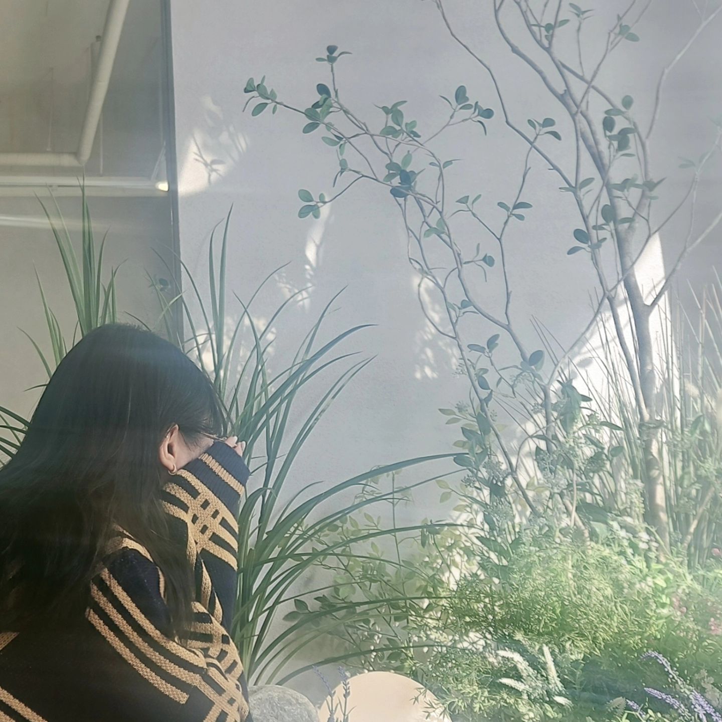 콘텐츠