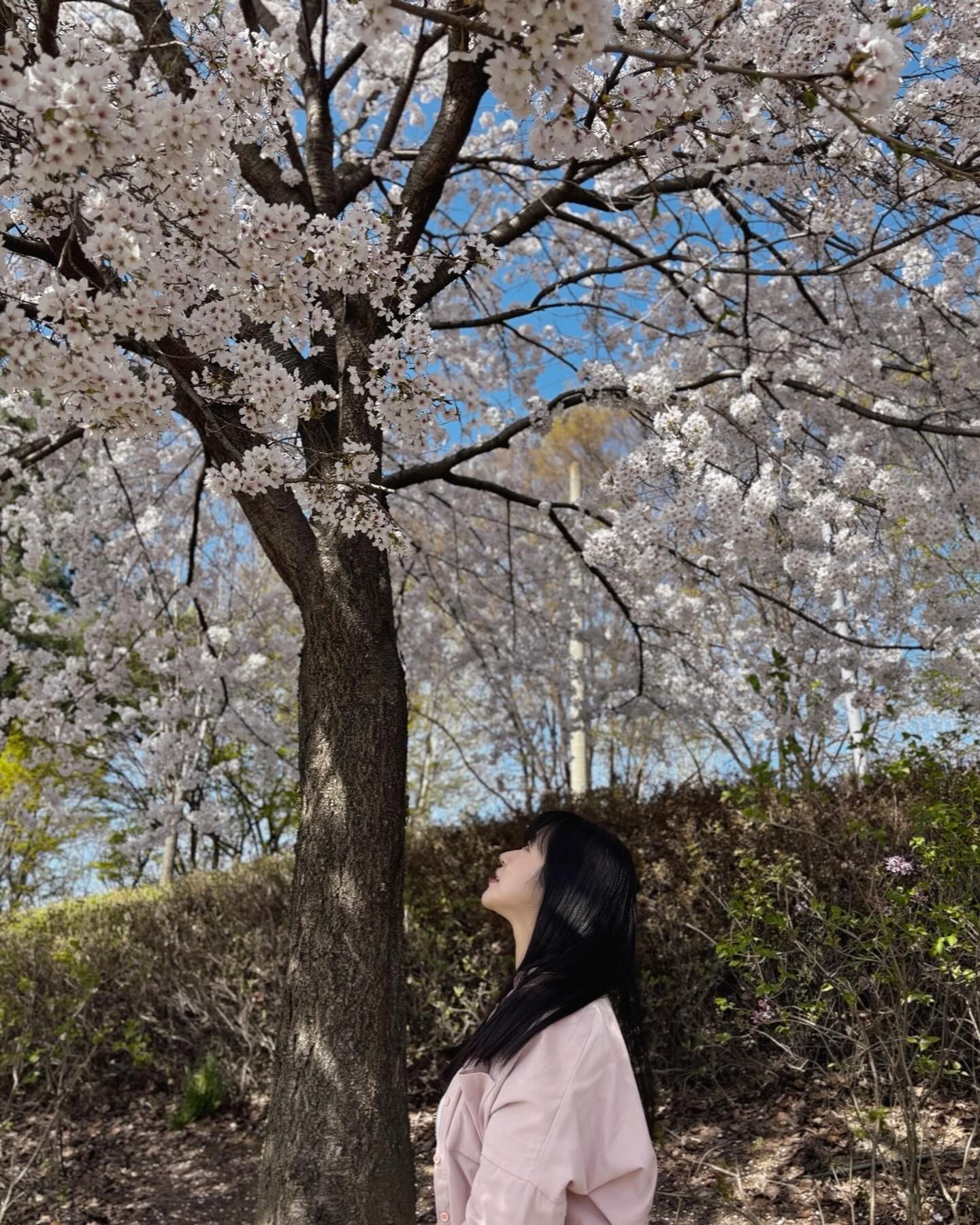 원래 봄을 좋아하는 편이 아닌데
올해는 유독 설레고 좋았다🌸