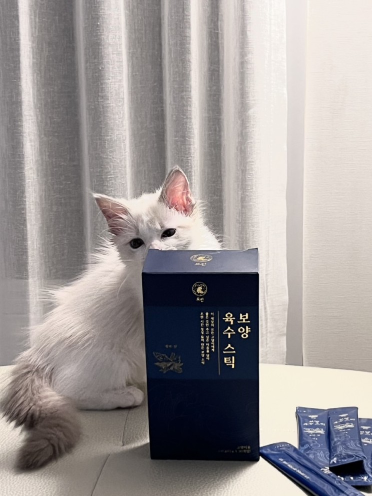 고양이츄르, 묘찬 보양육수스틱 맛있다냥🖤