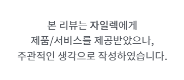 BLDC청소기 에이블Z2 BLDC 핸디형 자일렉 무선청소기 후기