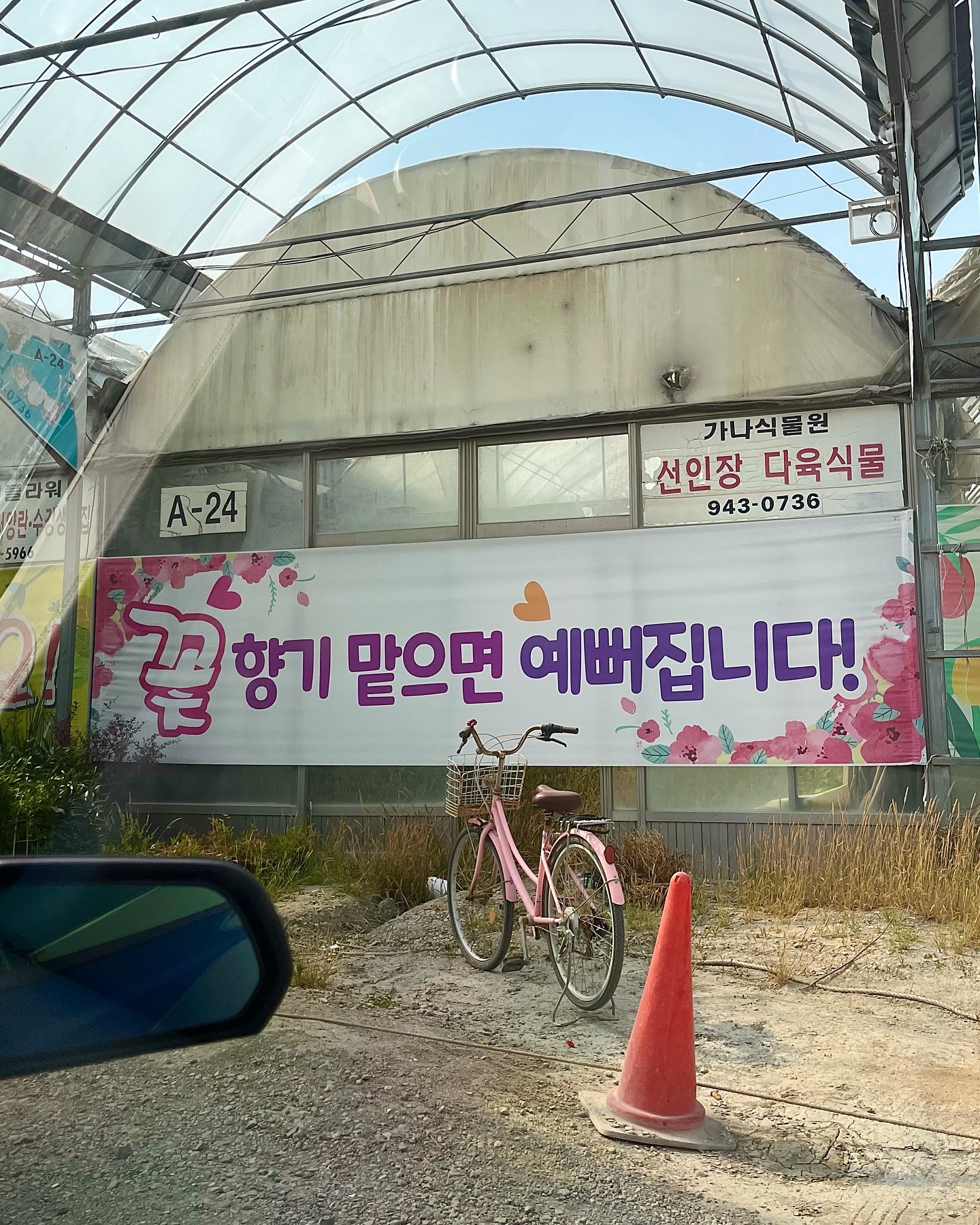 꽃 향기를 맡으면 예뻐집니다! ༘⋆✿