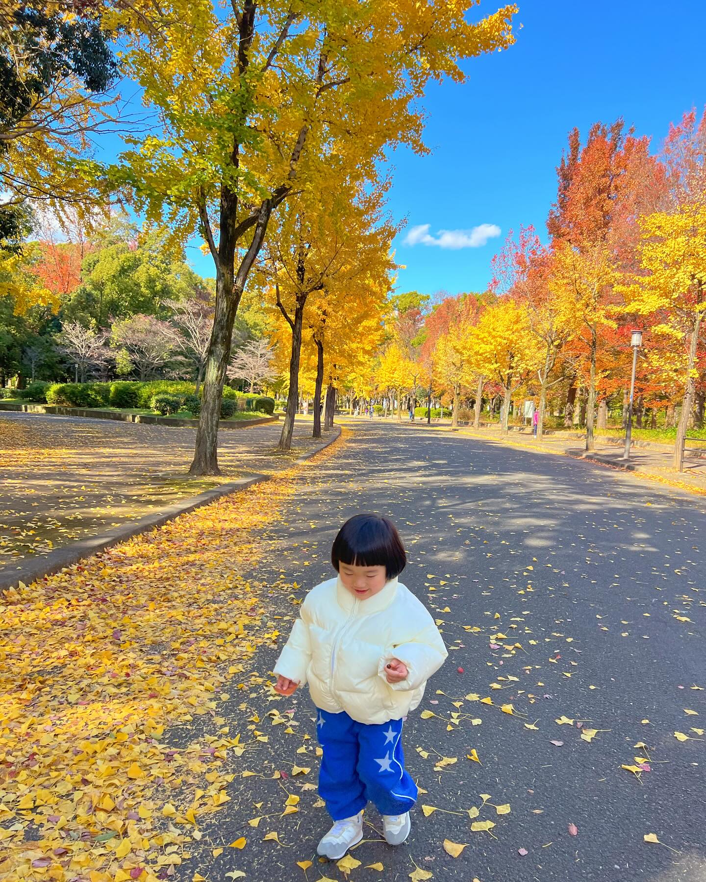 배경이 다했다 여긴 , 🍃💛😊