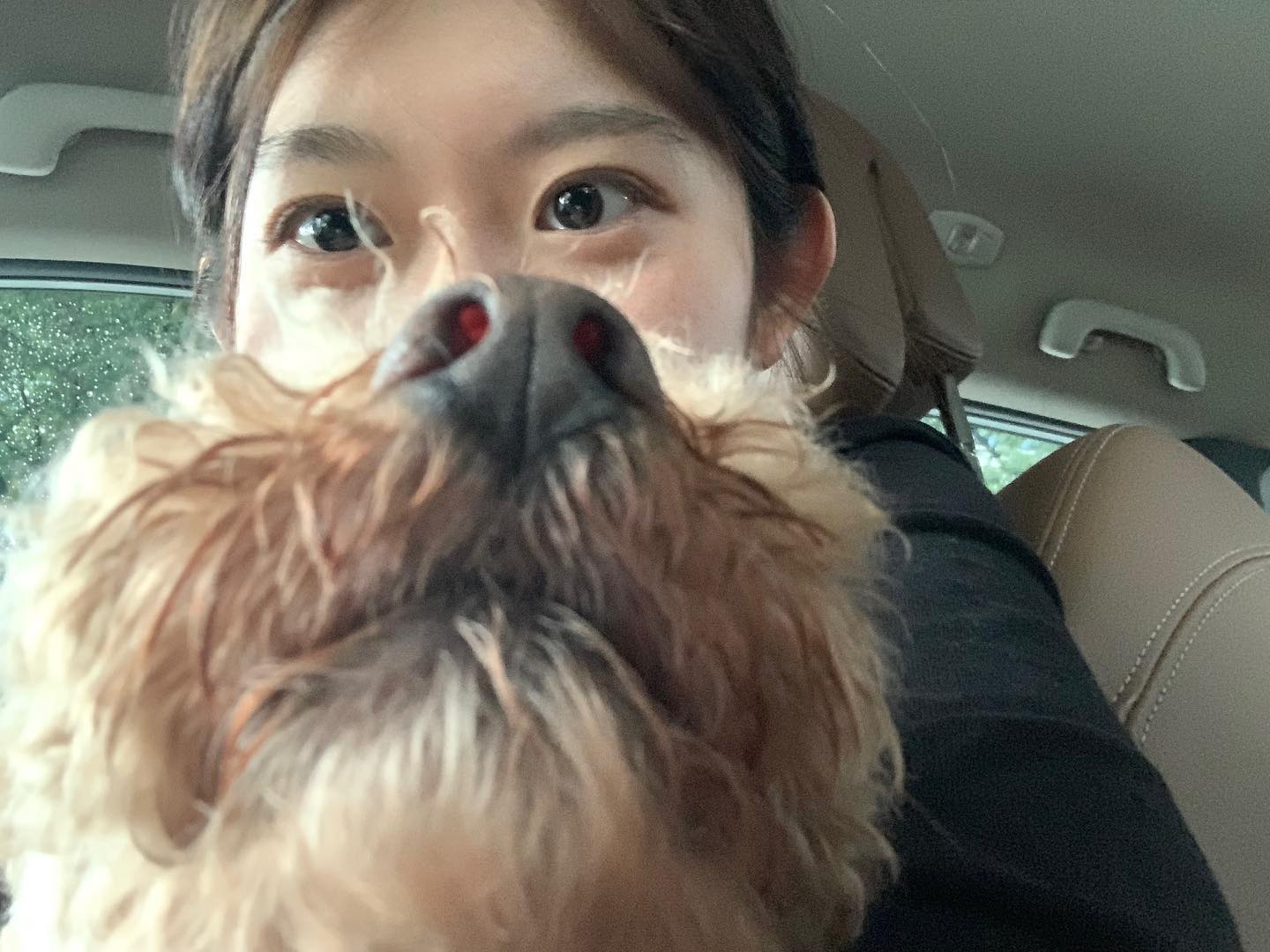 초코 : 집사 또 시작이다…내 코 가지고 뭐해!!!!😡