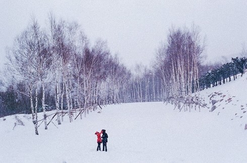 After blizzard 
We were completely shut off from the outside world

.
.
#풍경 #landscape #여행스타그램 #travel #필름카메라 #좋반  #35mm #snow #눈 #winter