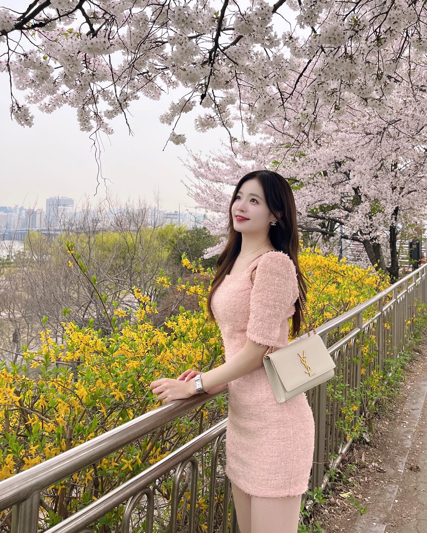 올해 벚꽃놀이는 동네에서 소소하게 !
일 년 중 며칠뿐이기에 더 소중해 🌸💕