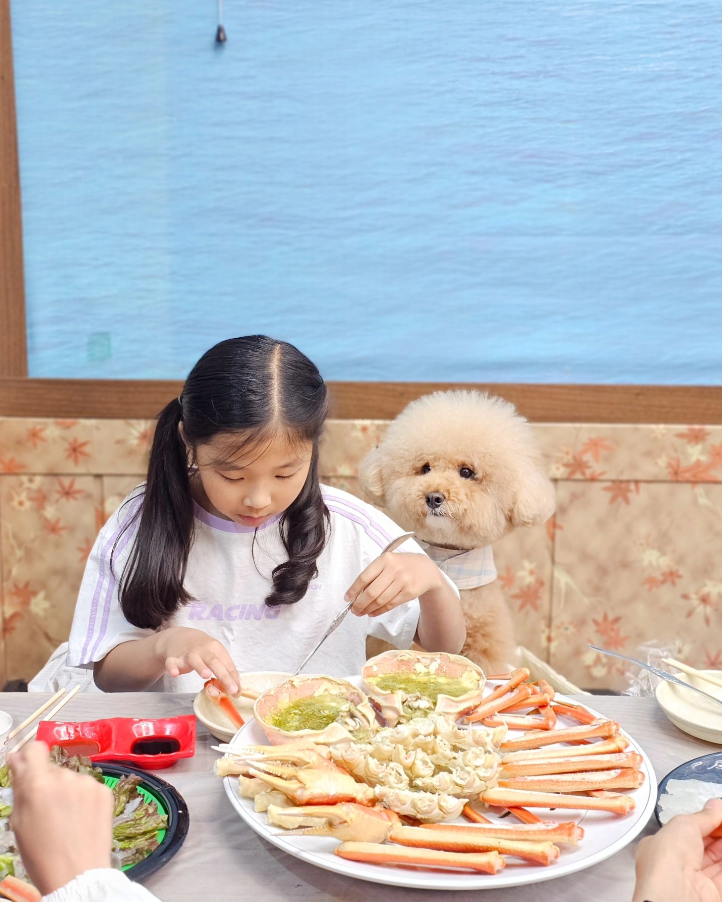 #대포항 ⚓️
기억 저장용 피드 🤍
지난 강원도 여행에서 진짜 배 터지게 잘 먹었던 대호항 두 곳🥢

[ 대포항 C동16호 부산갈매기 ]

댕댕이 환영인 대포항 횟집들 🐾
대포항 호객행위 심한데 그 중 진심이 느껴진 사장님 픽ㅋㅋ
대게세트 20만원짜리 주문했더니 대왕 대게 2마리, 광어회, 산낙지, 오징어, 가리비 & 새우찜, 게딱지 볶음밥, 대게라면 까지 배터지게 나 옴🦀
추가금 그런거 절대 없고 대게라면에는 대게를 또 넣어주심ㅋ
애들 때문인지 음료수도 세개나 서비스 주시고 양도 엄청 많이 주셔서 다 못 먹고 온 게 아주아주 후회스러움🥹
우린 성인2, 아이3 갔는데 성인 한 두명 더 있었음 딱 좋았을 양🥣
재방문 의사 100%

[ 대포항 튀김골목 13호 팔도 닭강정 & 튀김 ]

우린 오징어 & 새우튀김만 샀는데 게 튀김, 고구마 튀김 등 산 것 보다 서비스 튀김이 더 많았던 집 🍤
서비스라고 한두개만 주시는게 아니라 진짜 산만큼 더 주신 느낌ㅎㅎ
진짜 튀김 바삭하고 살도 두꺼워〰️
오징어 튀김 진짜 짱 맛있어..🦑
손 큰 사장님의 서비스가 최고인 집👍🏻

씹기도 전에 맛있다고 따봉 날리는 막내와 젓가락질 힘들다고 손으로 집어 먹는 먹깨비 둘찌, 먹을때조차 예쁜 공주 첫찌까지🩷
모두 배 터지게 먹었던 날🤤
울 마이는.. 자다가 상추 한조각 얻어 먹었다는 이야기..🥬

#강원도 #속초 #속초맛집 #대포항맛집 #대포항대게 #대포항회포장 #대포항튀김골목 #강원도애견동반 #속초애견동반 #대포항애견동반 #애견동반횟집