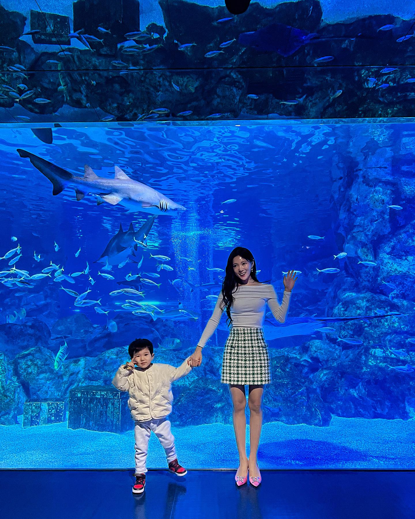 환상적이었던 아쿠아리움 나들이🐋🐳🐬🐟🐠🪼

#coexaquarium #코엑스아쿠아리움 #쥬쥬랑뚜쥬랑