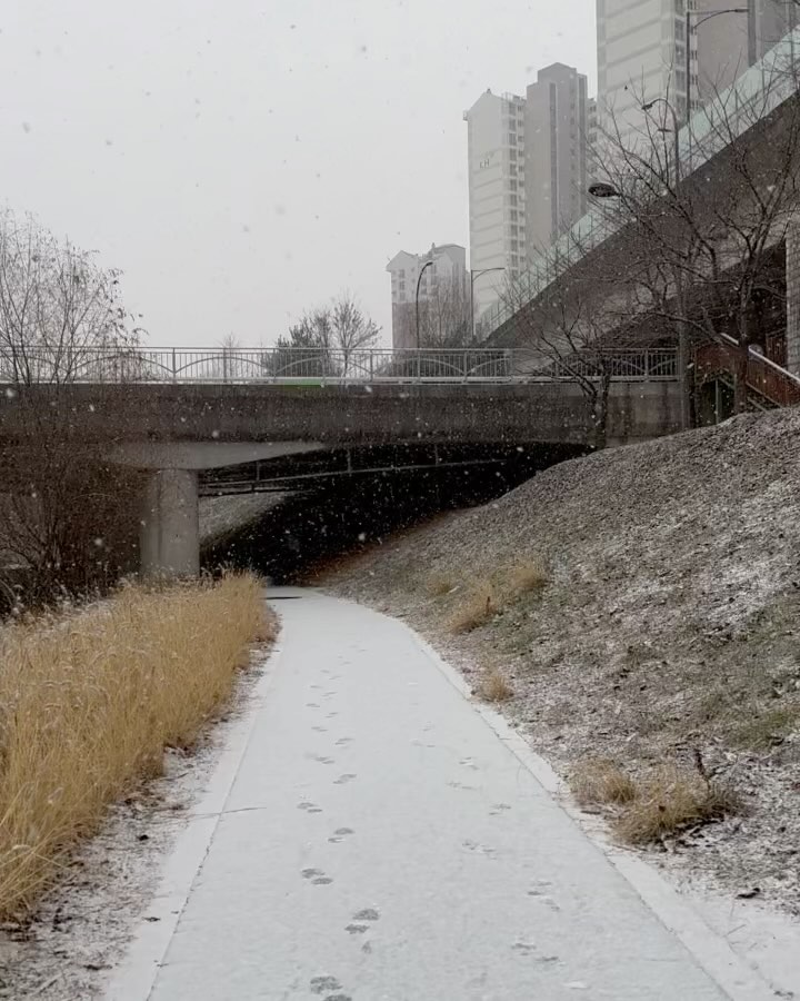 #눈러닝

여러분! 밖에 눈이 펑펑 내려요!🌨️
.
눈 올 때 달리는 쾌감! ❄️🌨️
무엇보다 안전하게 뛰는 것이 중요해요!
.
필라테스 센터에서 동네 수영장까지 #뛰뛰 
아! 그리고!
저 동네 수영장 드디어 당첨되었습니다🌟
1월부터는 주말에 필라테스에 수영까지 할거에요!
기대됩니다🥰

#눈오는날주말 #토요일일상 #인스타시동부릉부릉 
#달리는여자 #초보러너