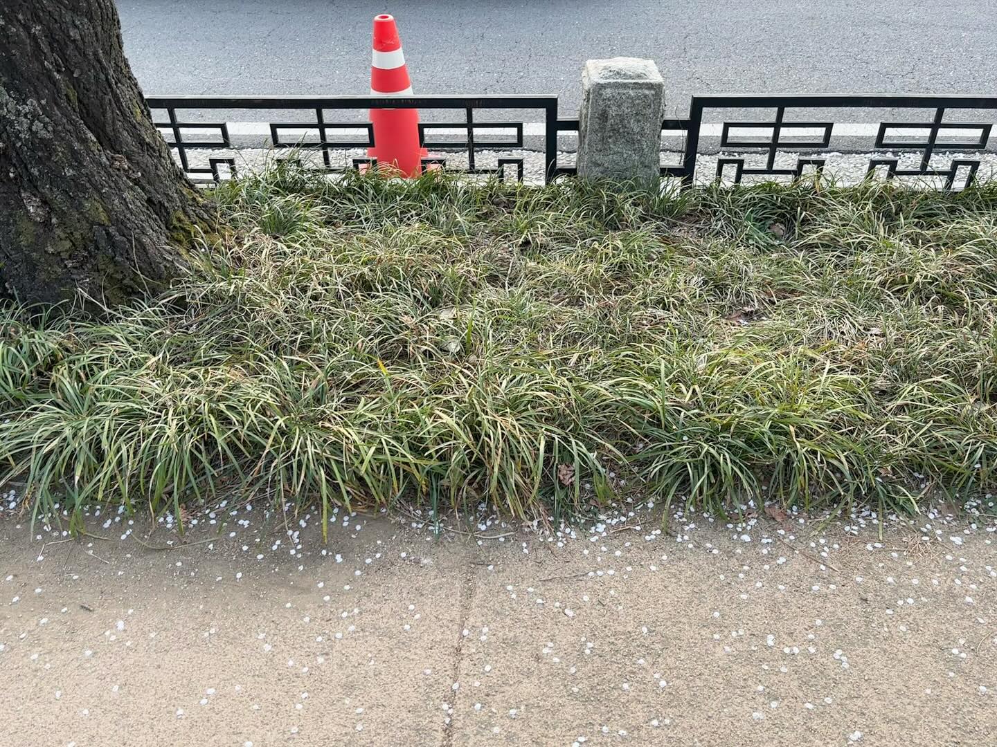 콘텐츠