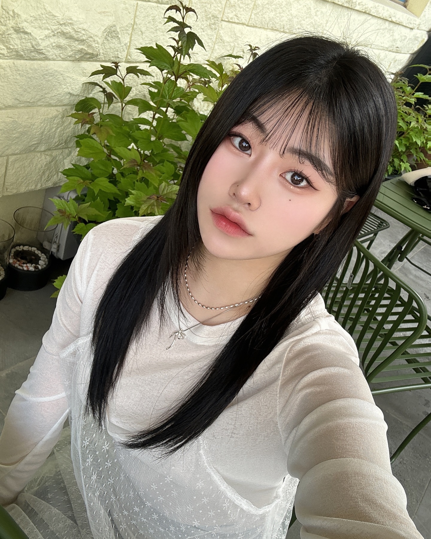 꽁꽁 얼어붙은 한강 위로 고양이가 머리를 바꿨습니다.