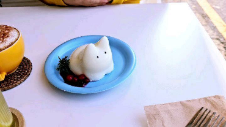 이거 흔드는거 하고 싶어서
자꾸 왔어요😅😅
커피도 디저트도 맛있지만 
캣🐱푸딩도 맛있네요
처음 온날 있었는데
멍푸치노처럼 고양이가 먹는 건줄 알고🤣🤣
안 시켰더니,  그 후로 계속 없더라고요
오늘은 있어서 성공!
사람이 먹는 고양이🐈  모양 우유푸딩🥛입니당~
같이 나오는 라즈베리쨈🍒이랑 잘 어울리고요
고양이 푸딩은 윗쪽보다 아랫쪽이 더 진한맛과
크리미한 식감이더라고요
첨 먹어봤어요~
이수역 카페 중 분위기, 맛,  친절 모두 넘나 좋은
근처 주민이 뽑은 3대 매장 중 하나 입니당😆
이수역 9번 출구 근처 딥다이브 카페에요~

#이수역카페 #딥다이브 #캣푸딩 #이수역 #디저트맛집 #카페투어 #카페스타그램 #디카페인커피
