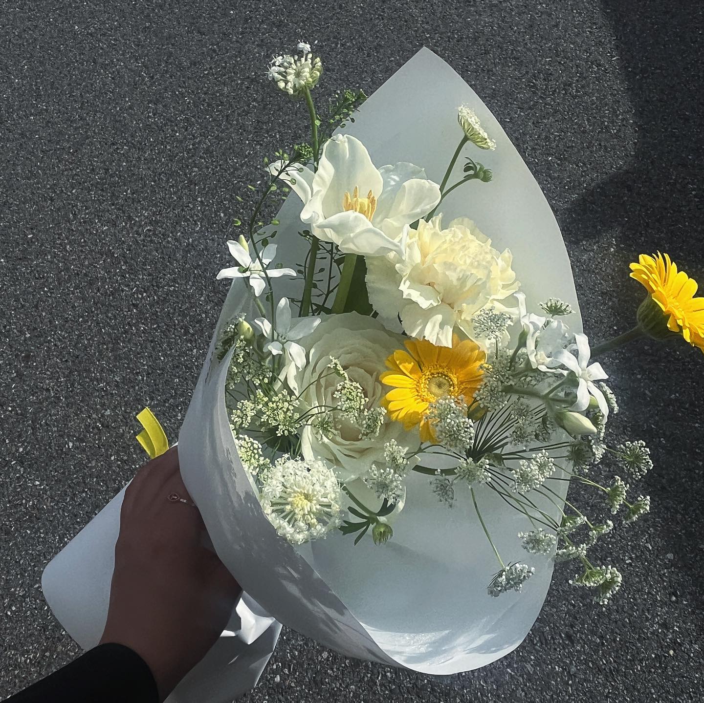 만나기만해도 웃기고, 아무말 안하고 멍 때려도 편하고 좋은 사람. 일도 많고 여러모로 스트레스 많을때 만나서, 내게 더더더 소중하고 애틋한 사람 🥺.... 스튜디오에서 도란도란 점심 도시락 먹었던 시간 덕분에 잘 이겨낼 수 있었지 🍱☘️