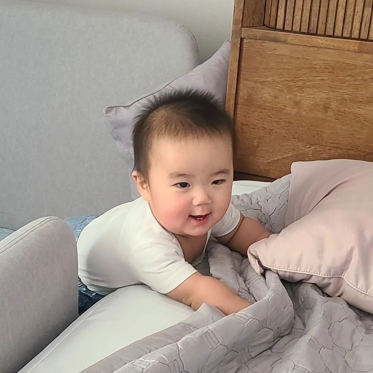 D+234일차 지훈이♡

혼자서도 잘노는 귀염둥이 아가!
잠도 잘자고 잘자고나서는
자기 일어났다고 엄빠 침대위로
빼꼼 얼굴내미는 귀요미~~
뻗은남편과 뻗는!?지훈이ㅋㅋ
저녁시간을 이용해 엄빠랑 
호수공원산책! 처음본 분수에 신기!

요즘 이앓이하나.. 자다깨는데
제발 내일은 6시이후에 기상합시다
지훈쒸이~~~~

#흑토끼띠아가 #흑토끼띠맘 #잘노는아가
#귀염둥이 #호수공원산책 #분수 는처음