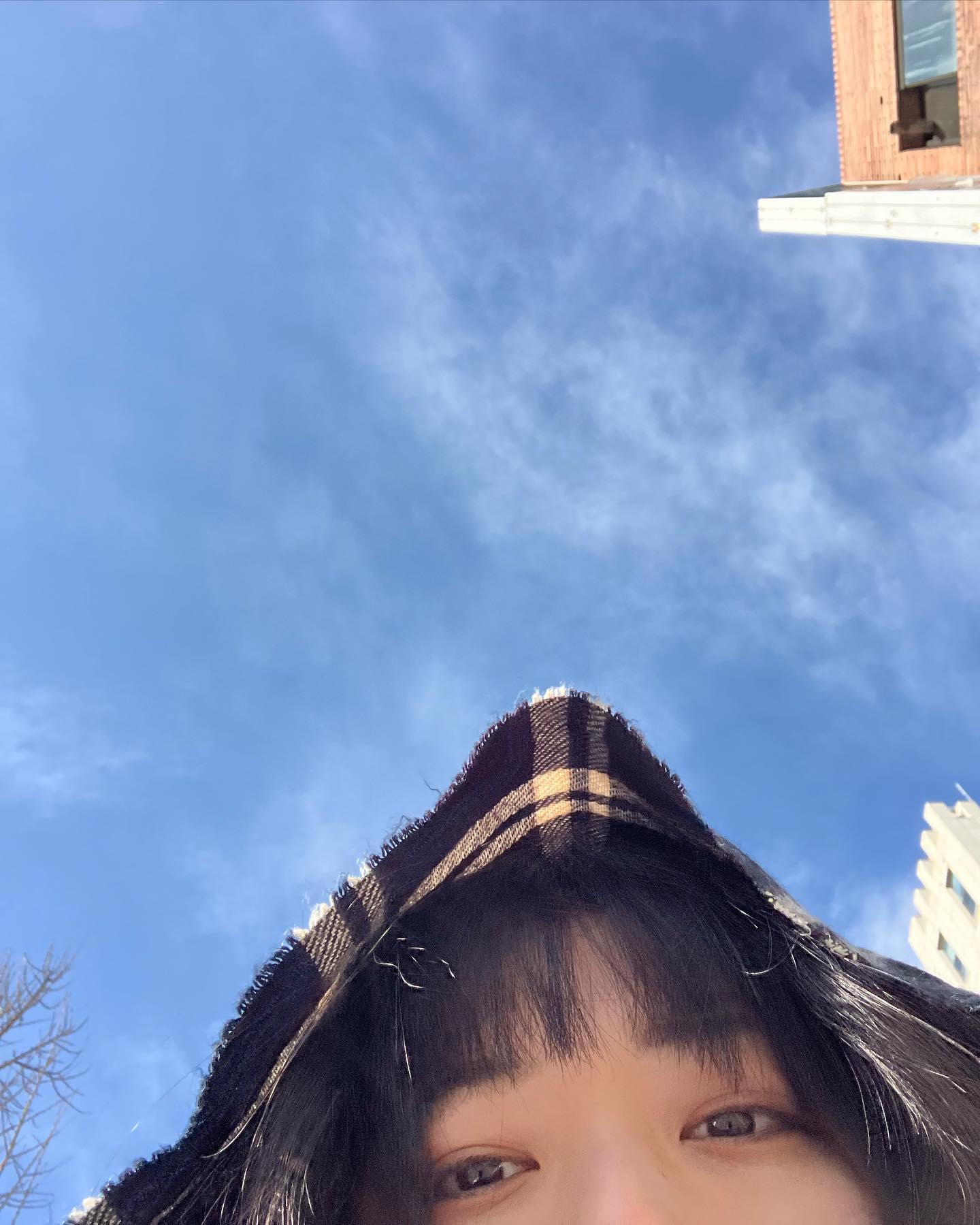 콘텐츠