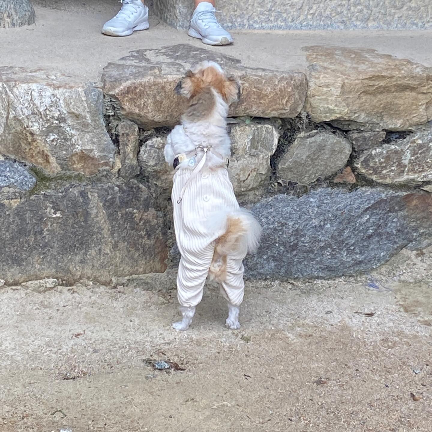 우리 하동 다녀왔자냐 ! 🍃