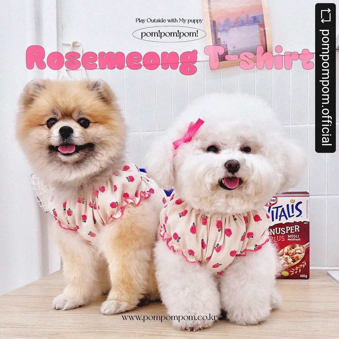 우왕 이건 딱 백미꺼!
이런 옷은 또 내가 좋아한다궁♡
.
#REPOST pompompom.official with get__repost__app 🌹로즈멍티셔츠♥️신상출시이벤트🌹

폼포미여러분 까꿍 🤗
이벤트 끝난지 올마나됐다구 바로 또 찾아왔어요🤭
아무래듀,, 신상 출시에는 이벤트가 있어조야하니까!!!

참, 지금 공홈에는 이미 업데이트 되어있어요!
출시기념 토요일까지 ♥️10%할인♥️ 이벤트 진행중입니다 🌹

🌟로즈멍 티셔츠 소문내기 이벤트🌟

요번에도 랜덤 추첨으로 진행합니다! 😉
랜덤으로 추첨하니까, 한번 당첨되셨던 분들두
또 당첨 되실 수도 있다는 거 💗💗💗💗

‼️네 가지 미션 모두‼️ 시행해 주셔야
명단에 이름이 올라가요!

📌이벤트 참여 방법

1. 폼폼폼 공식계정(pompompom.official) 팔로우
2. 해당 게시물 리그램하기
3. 스토리에 올리기
4. 댓글로 참여완료 알리기

📌 이번에도 빨리 참여할 수록 당첨확률이 올라가요
총 5일간 진행될 예정이며,
기본적으로 참여해주신 분들은 명단에 1회 올라갑니다.

여기에, 일찍 참여해주신 분들께 감사의 가산점을 더해
첫 날 참여해주신 분들은 추첨 명단에‼️10번‼️ 올려드리고,
둘째날 참여자 분들은 5번,
셋째날은 3번, 넷째날은 2번 더 추가로 올려드립니다!
마지막날 참여자 분들은 가산점 없이
추첨 명단에 1회 등록될 예정입니다!

이번엔 일찍부터 참여해 주신 분들께 감사의 마음을 담아
조금 더 차이를 둬서 명단에 여러번 올려드리려해요!🥰

참! 함께 참여하고 싶은 친구들을 태그해주시면 추첨 명단 +1 🤭

📌이벤트 기간
2월 20일(화) 부터 2월 24일(토) 까지 5일간

📌당첨자 발표
2월 25일(일) 오후 1시

위 네 가지 사항을 모두 이행해주신 참여자 분 중
네 분을 랜덤으로 추첨하여, 
로즈멍 티셔츠 + 리본핀을 선물해 드릴게요!

요번 제품은
S부터 2XL까지 제작되었습니다!

많은 참여 부탁드려요 🌹🌹🌹🌹

☑️ 이벤트 당첨 시, 후기 사진은 홍보용으로 활용될 수 있어요.
☑️ 이벤트 게시물 도배 계정은 당첨에서 제외됩니다.
☑️ 비공개 계정은 당첨에서 제외됩니다.
☑️ 당첨 추첨일까지 리그램을 유지해 주셔야 당첨이 인정됩니다. #repostandroid #repostw10