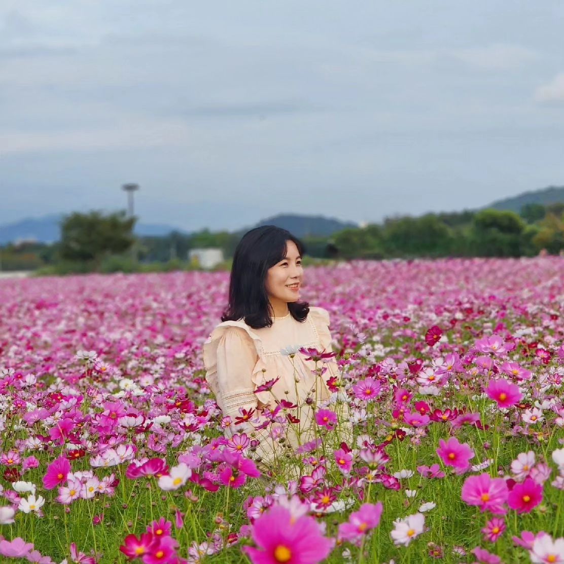 #하중도코스모스 🌺🌼🌸💐🌳
 
 
하중도 금호 꽃섬 다녀왔어요
아름다운 색색의 코스모스가 넓게 수놓은 
꽃향기 가득한 기분좋은 꽃길이에요
근교이신분 다녀오시길 츄천💓 
 
꽃같은 주말 되세요🙂💐🤰
 
 
 
 
 
 
🌾