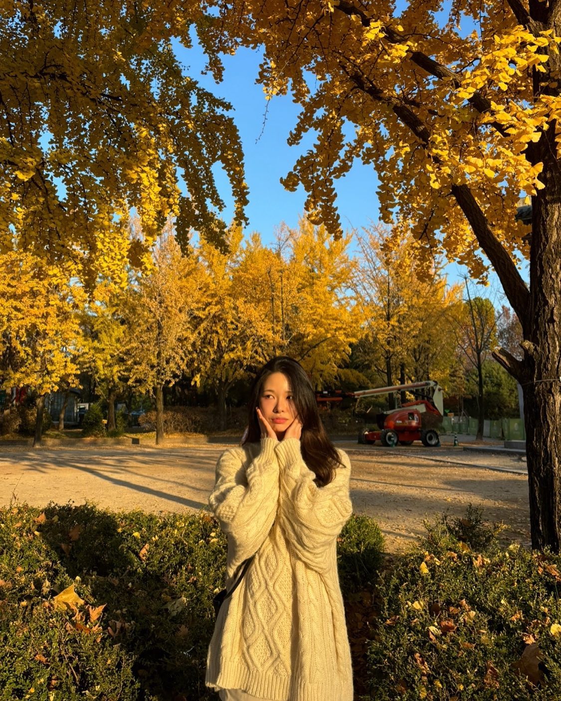 단풍 예쁠 때 찍어놓기 잘했다 🕺🏻

#가을 #autumn