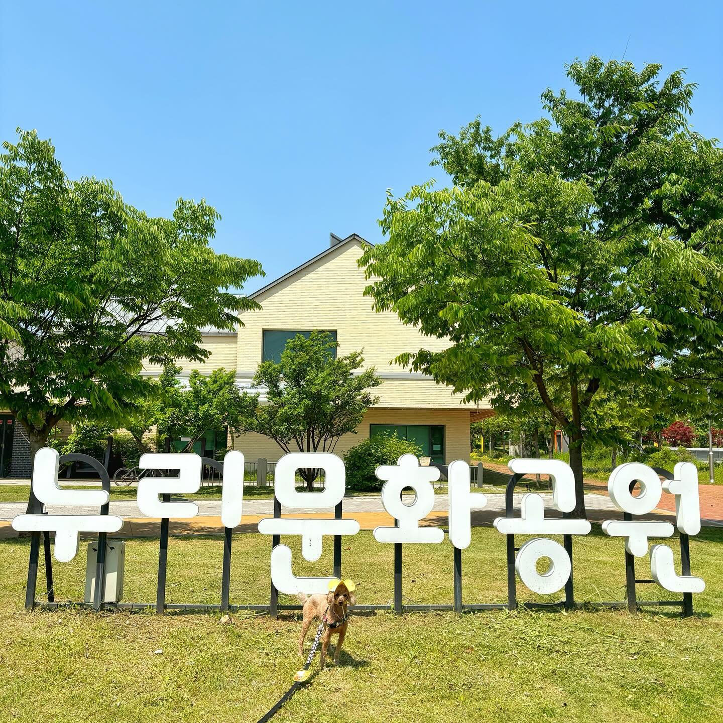 ⠀
두비가 자주 가는 산책 코스
수원시 당수, 호매실 살면 자주가는 공원⠀
가볍게 산책 하기 좋은곳
⠀
⠀
🌳장소 : 누리문화공원, 물새공원, 두레뜰공원
🅿️주차장 : 칠보생태환경체험교육관주차장 무료
🐕‍🦺애견동반 : 가능
🧺피크닉 : 불가능
⠀
공원 3개가 연결되어 있어 산책하기 좋아요
누리문화공원은 농구장 등 애들이 많아 짧게 산책
자전거공간이 있어 산책할때 주의가 필요해요 :)
⠀
물새공원은 천천히 걸으면서 마킹 하는 친구들이
금곡 저수지를 보면서 산책하기 좋습니다.
⠀
그러다 육교를 건너가 두레뜰공원가시면
작은호수 보시고, 길이 잘 되어있어 산책하기 좋음
.
.
.
더 많은 #반려견동반 정보를 공유할게요🐕‍🦺
#두비 poodle_dubi 
#푸들 poodle_dubi