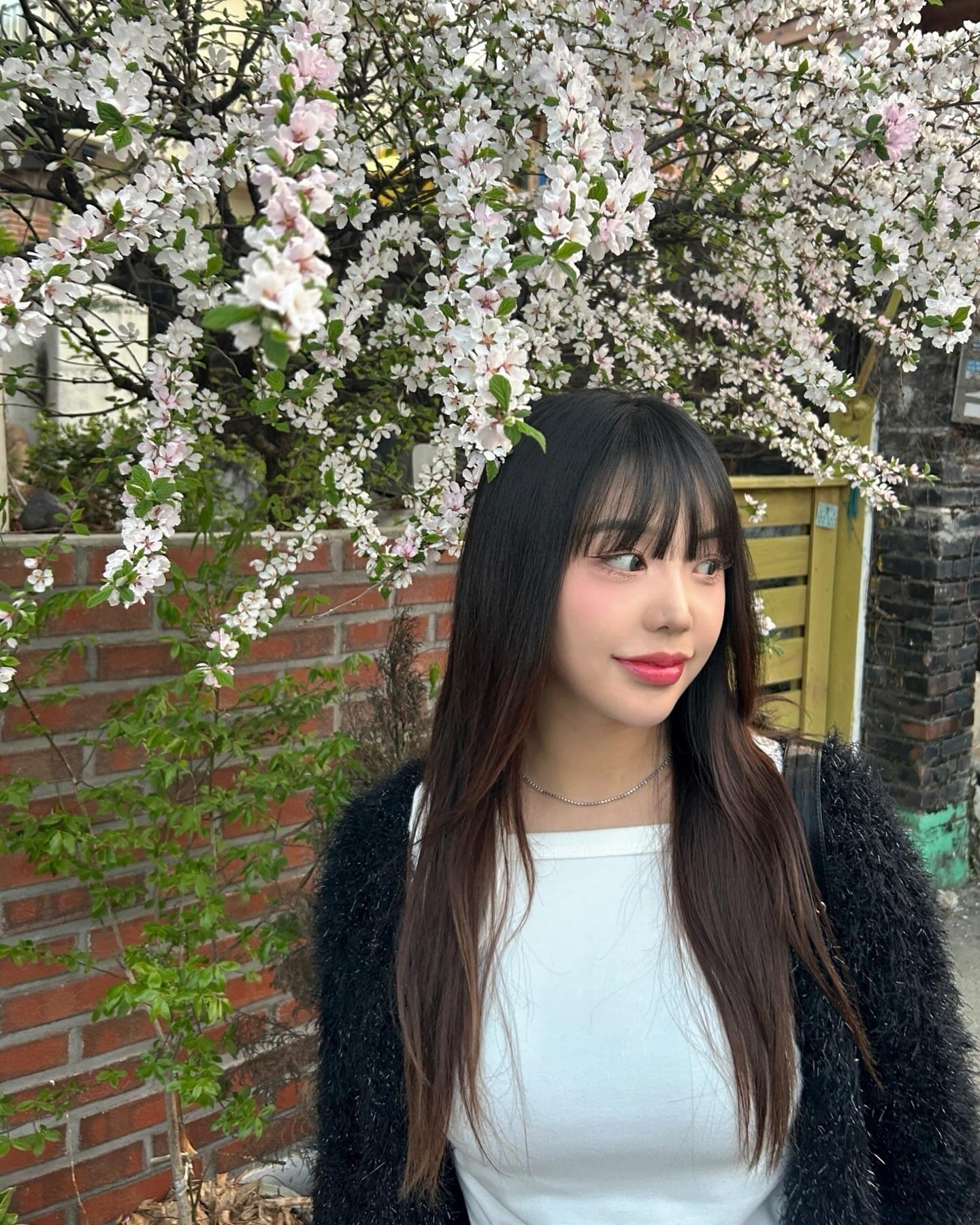 벚꽃아 사라지지마🥹🌸